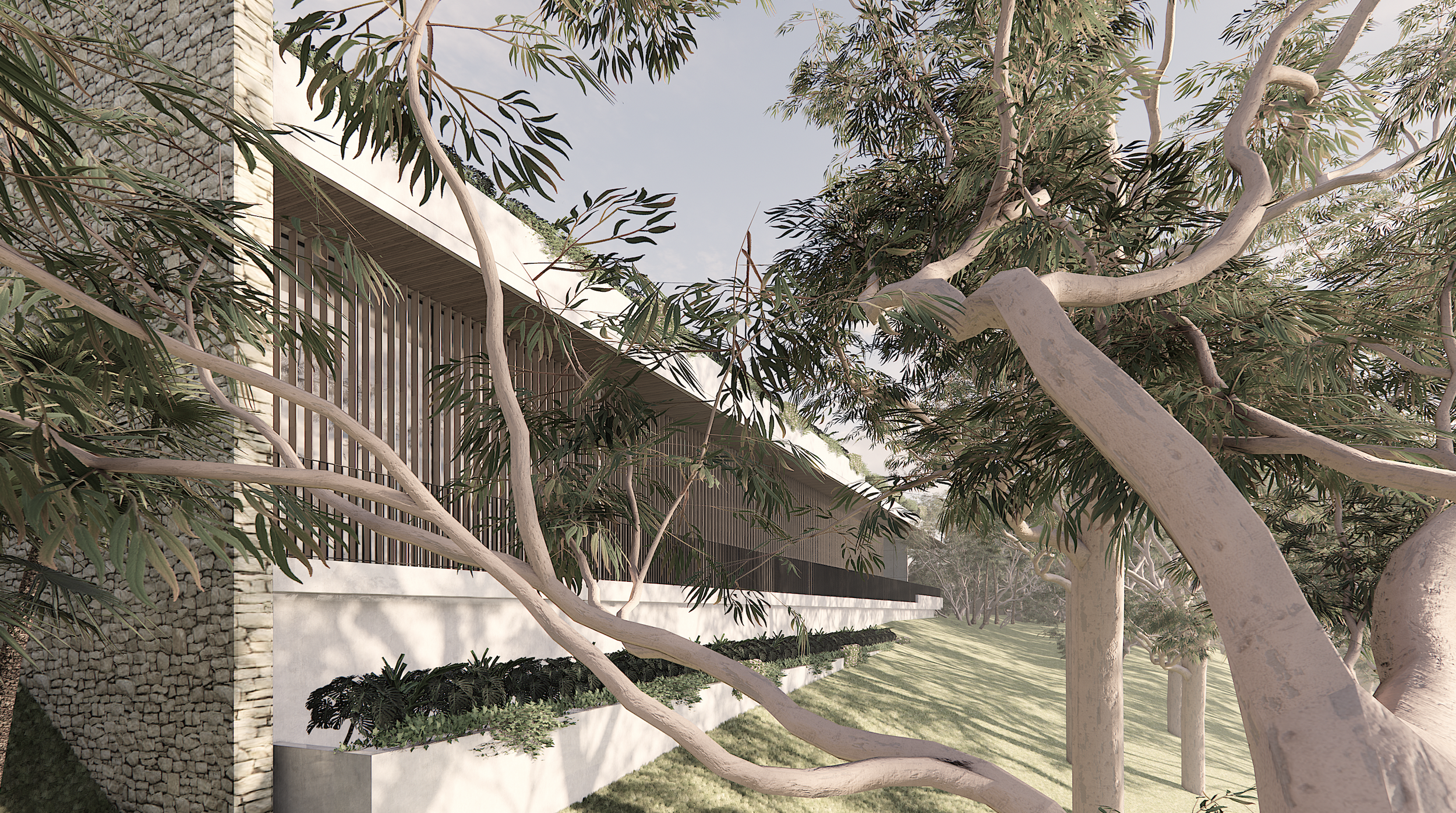 Screen Shot 2024-03-15 at 5.12.21 pm.png