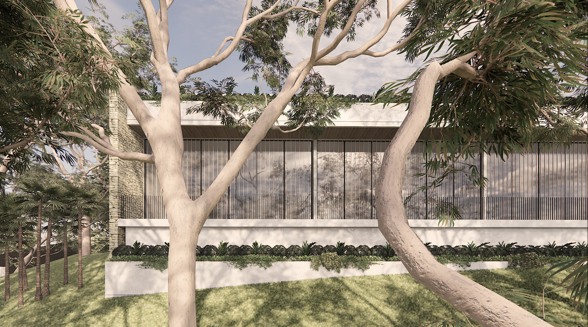 Screenshot 2024-03-15 at 11.52.57 am.png