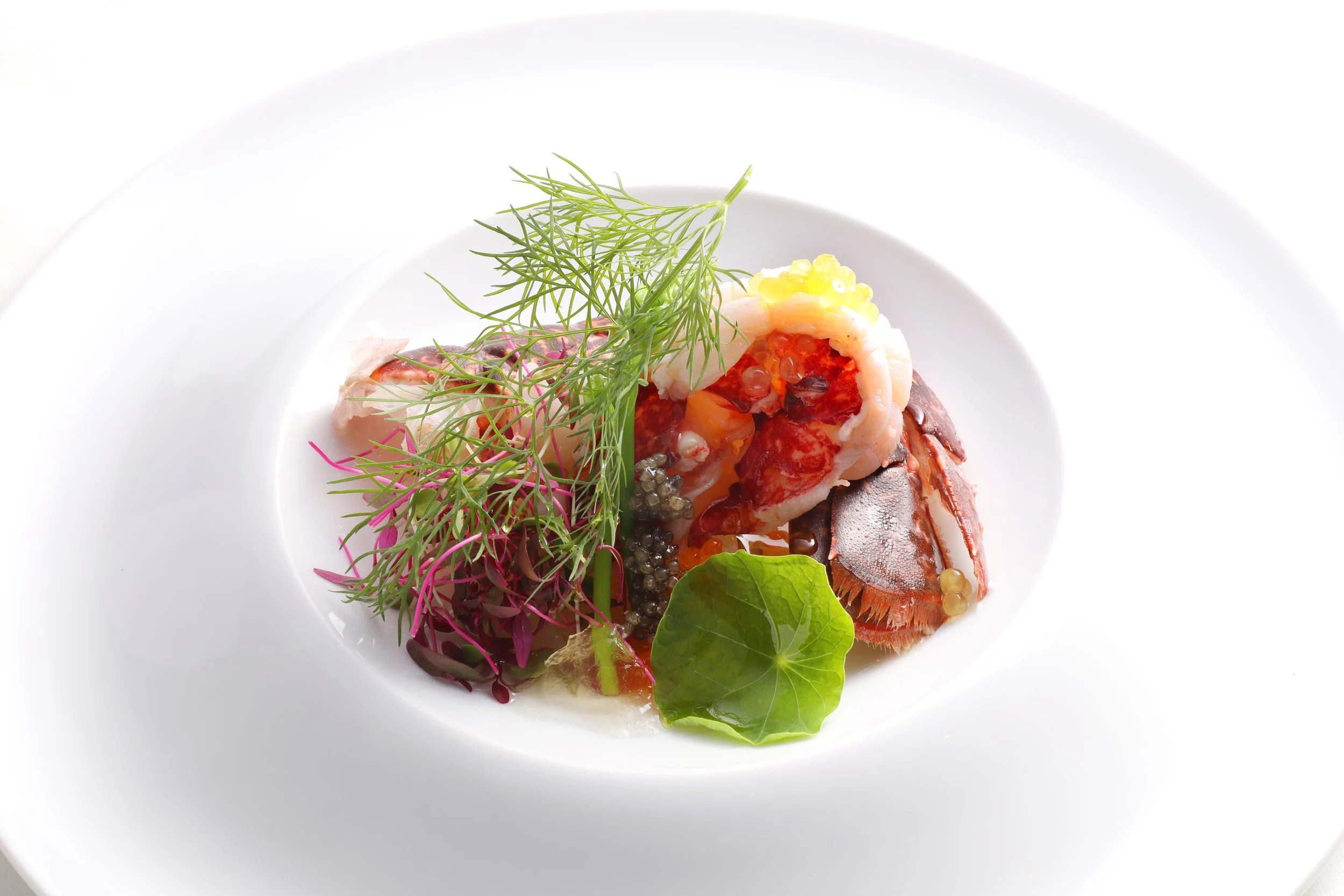 蟇ｿ蜿ｸ繝偵ｙ繧ｹ繝医Ο 遖・ｧ・770A1484 - コピー.JPG