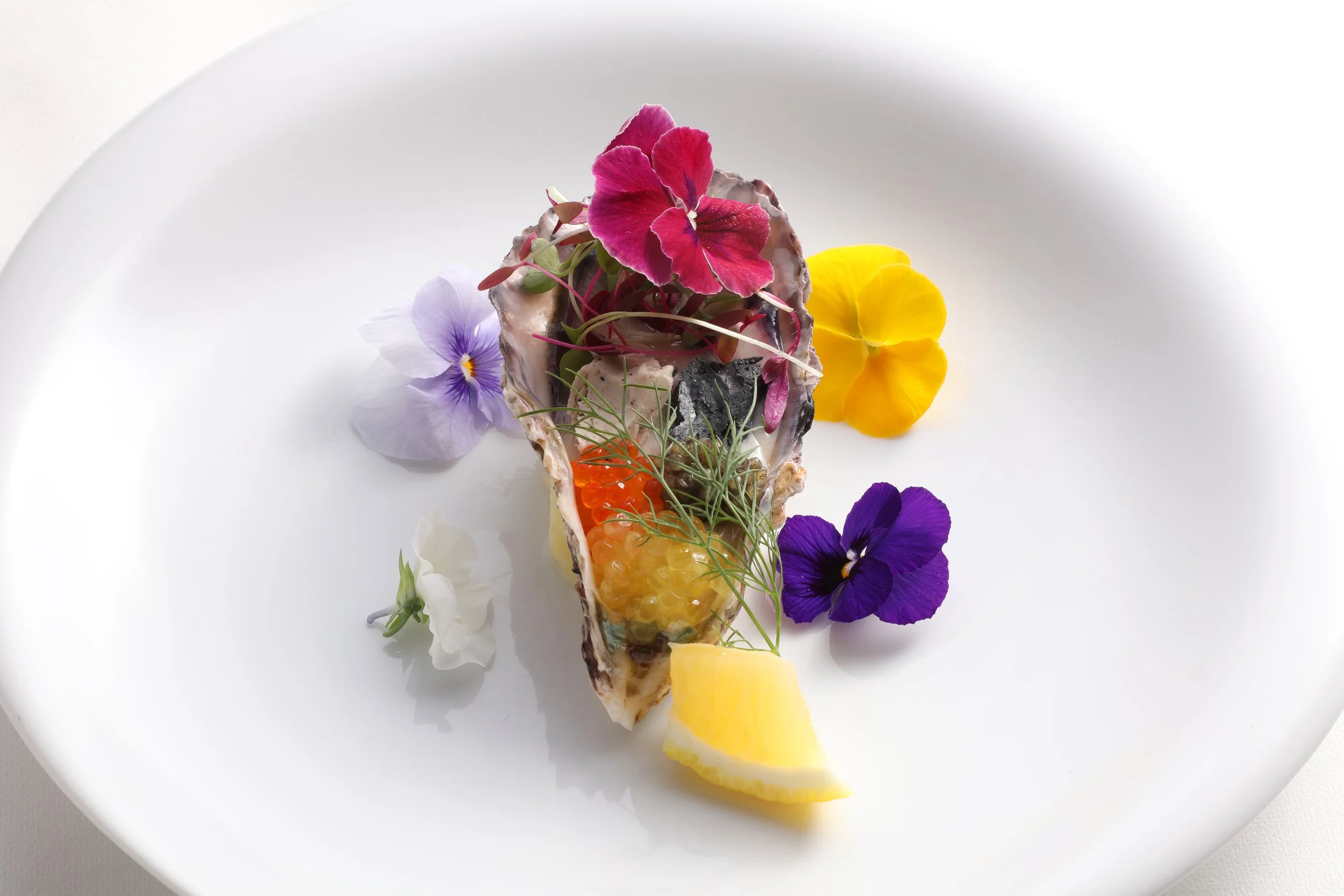 蟇ｿ蜿ｸ繝偵ｙ繧ｹ繝医Ο 遖・ｧ・770A1471 - コピー - コピー.JPG