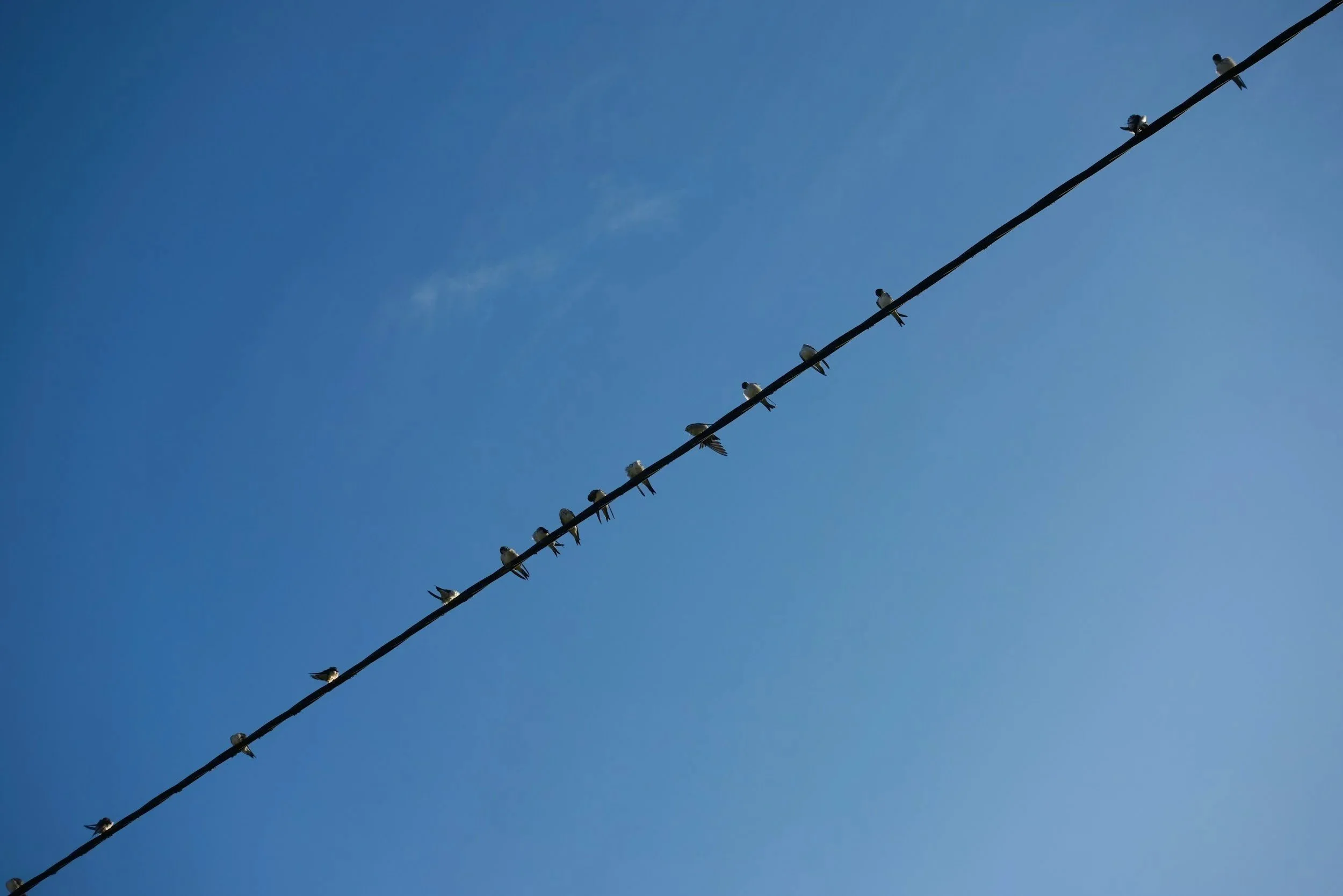 Från innovatör till eftersläntrare: så säljer du till alla på adoptionskurvan