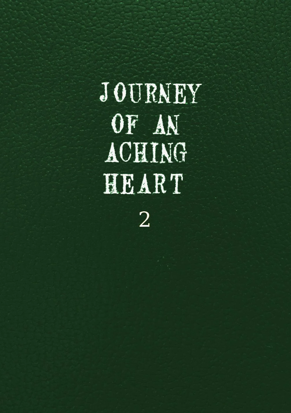 Journey of an Aching HEart 2