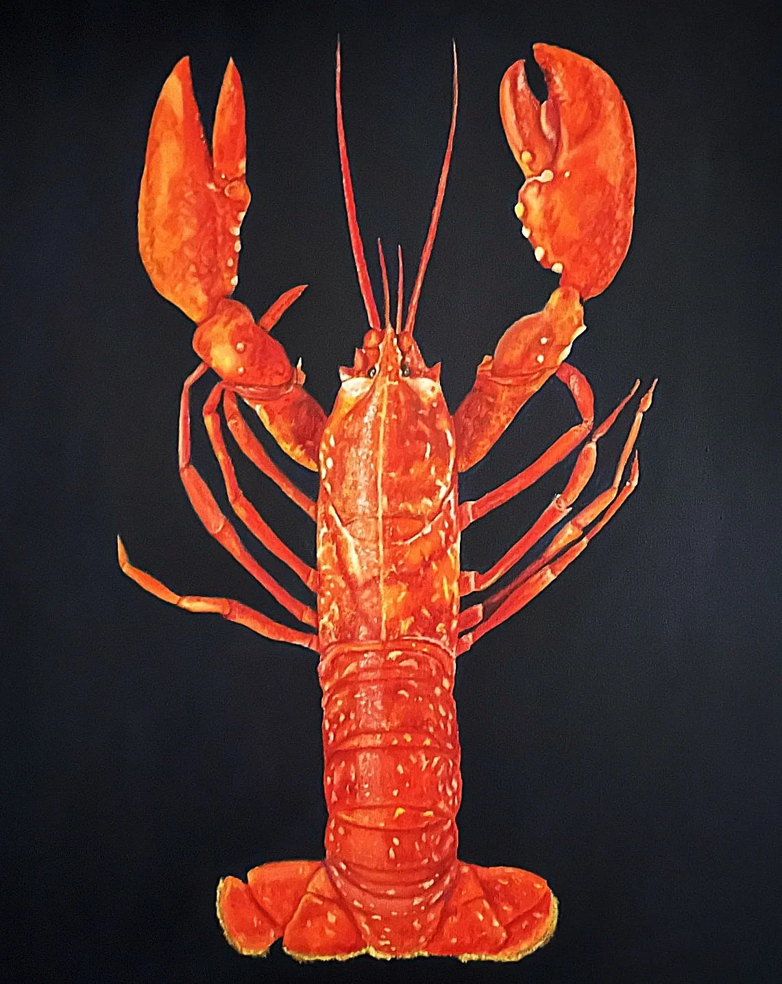 lobster.jpg