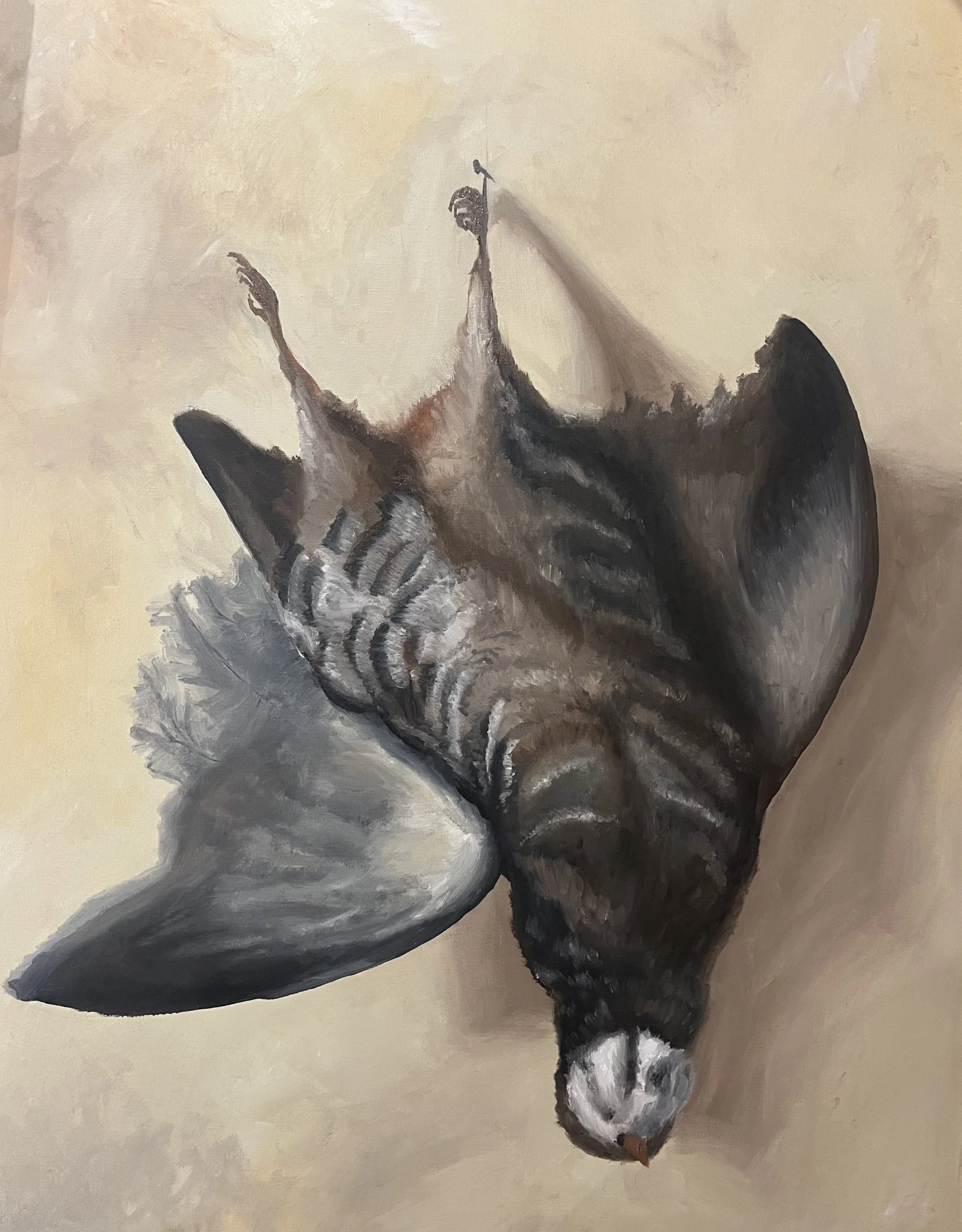 French Partridge.jpg