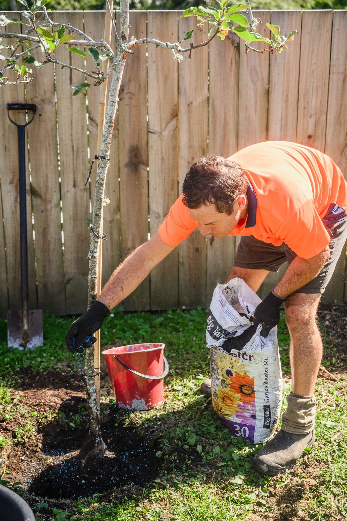 Landscape & Planting 16 - SG Trees Tree Maintenance Services Tauranga.jpg