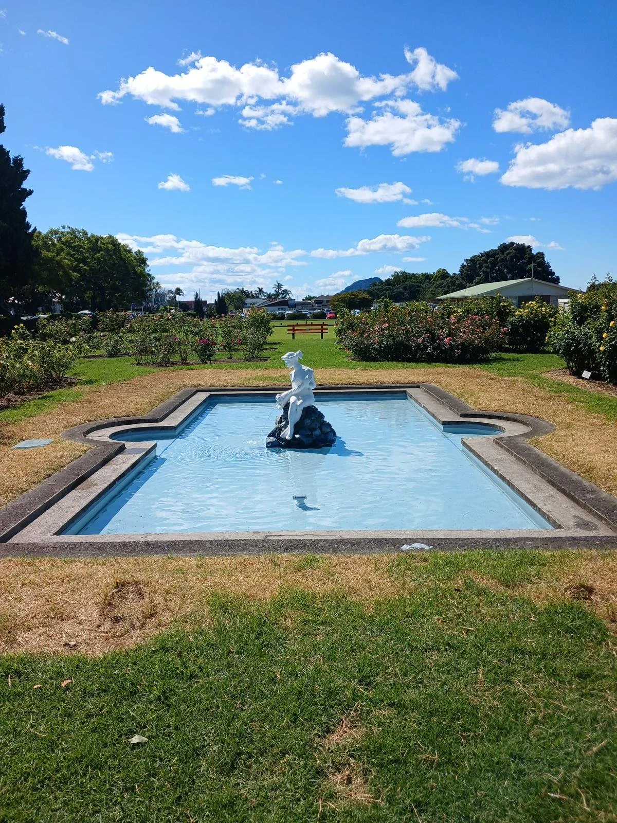 Aquascape Restoration – Robbins Park, Tauranga Waterfront