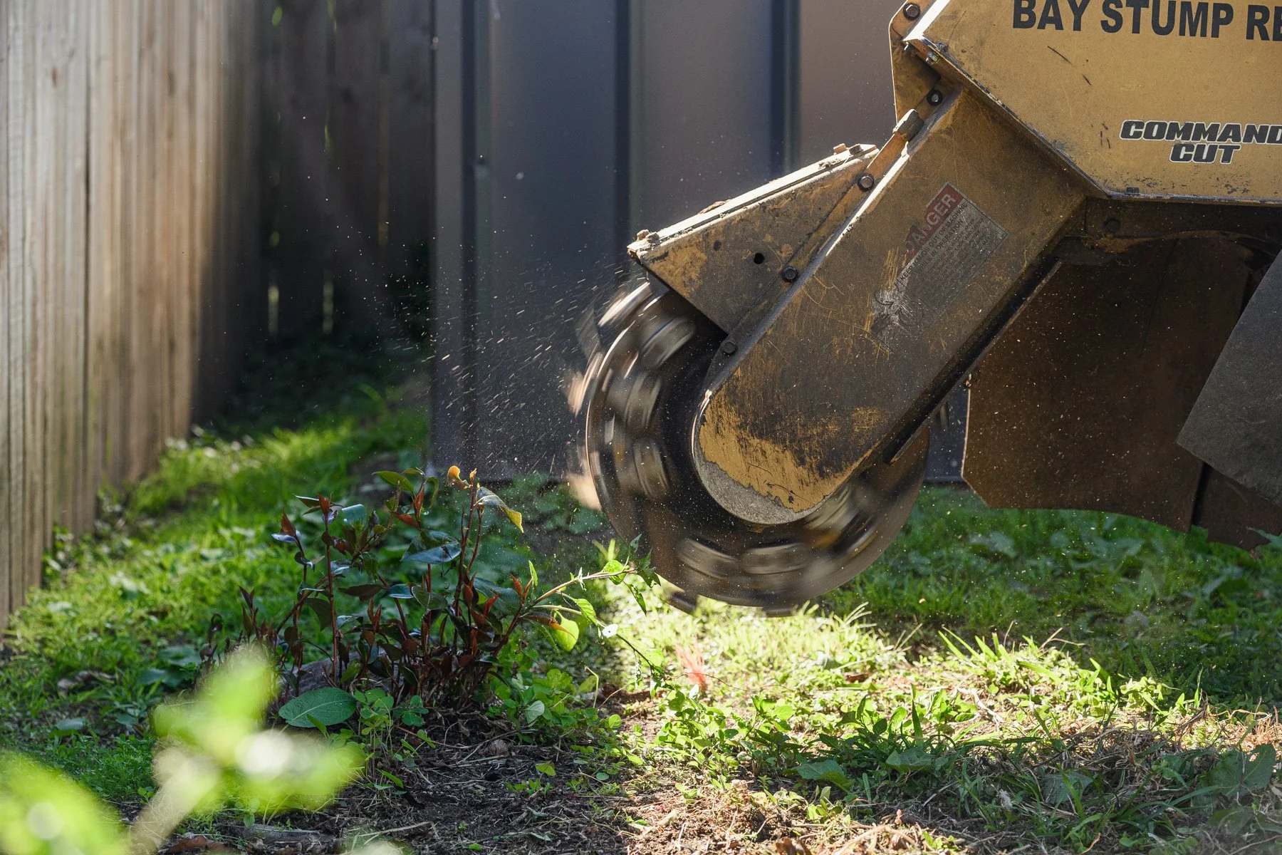 Stump Grinding 2- SG Trees Tree Maintenance Services Tauranga.jpg