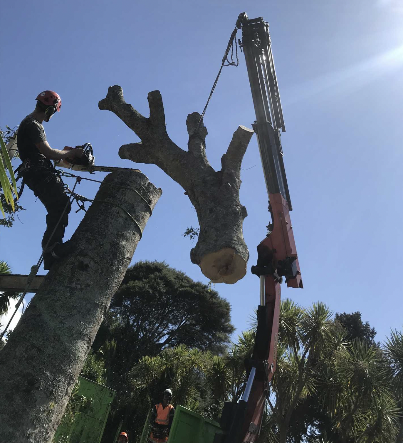 Screenshot 2023-07-17 at 7.50.13 PM.png