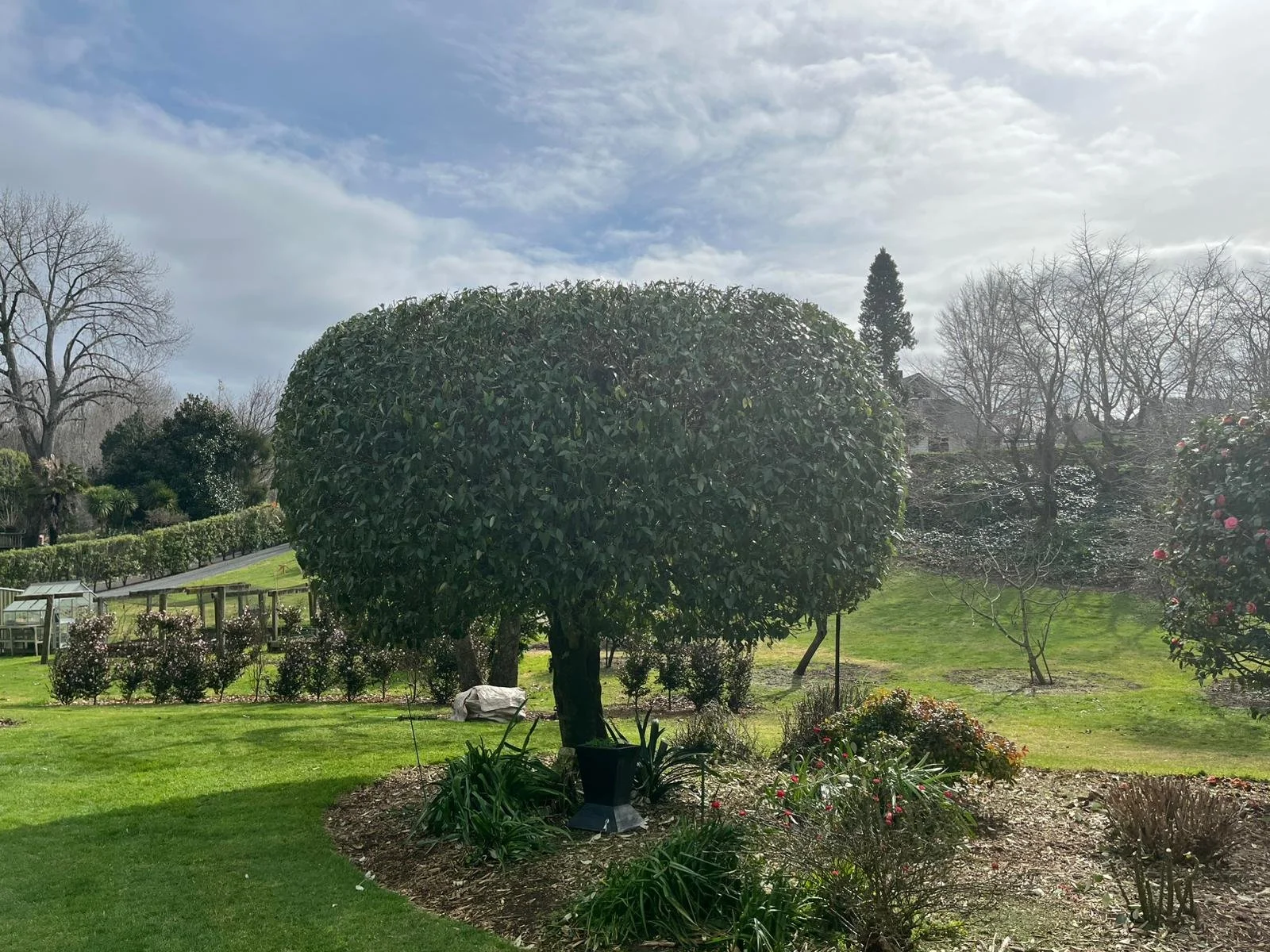 Let’s Get Your Garden Ready for Summer!