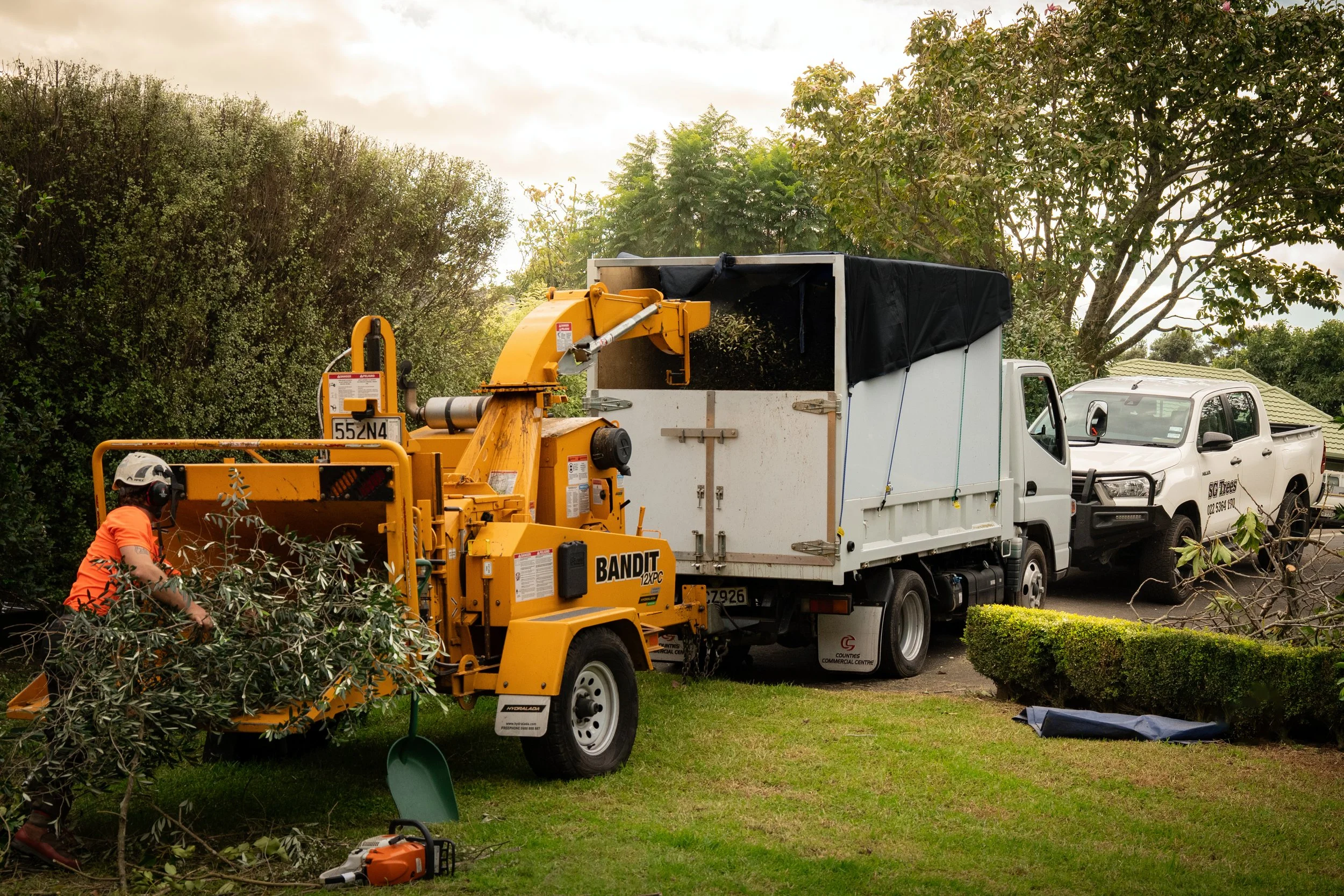 Preparing for Spring: Creating Space in Your Garden | SG Trees Tauranga ...