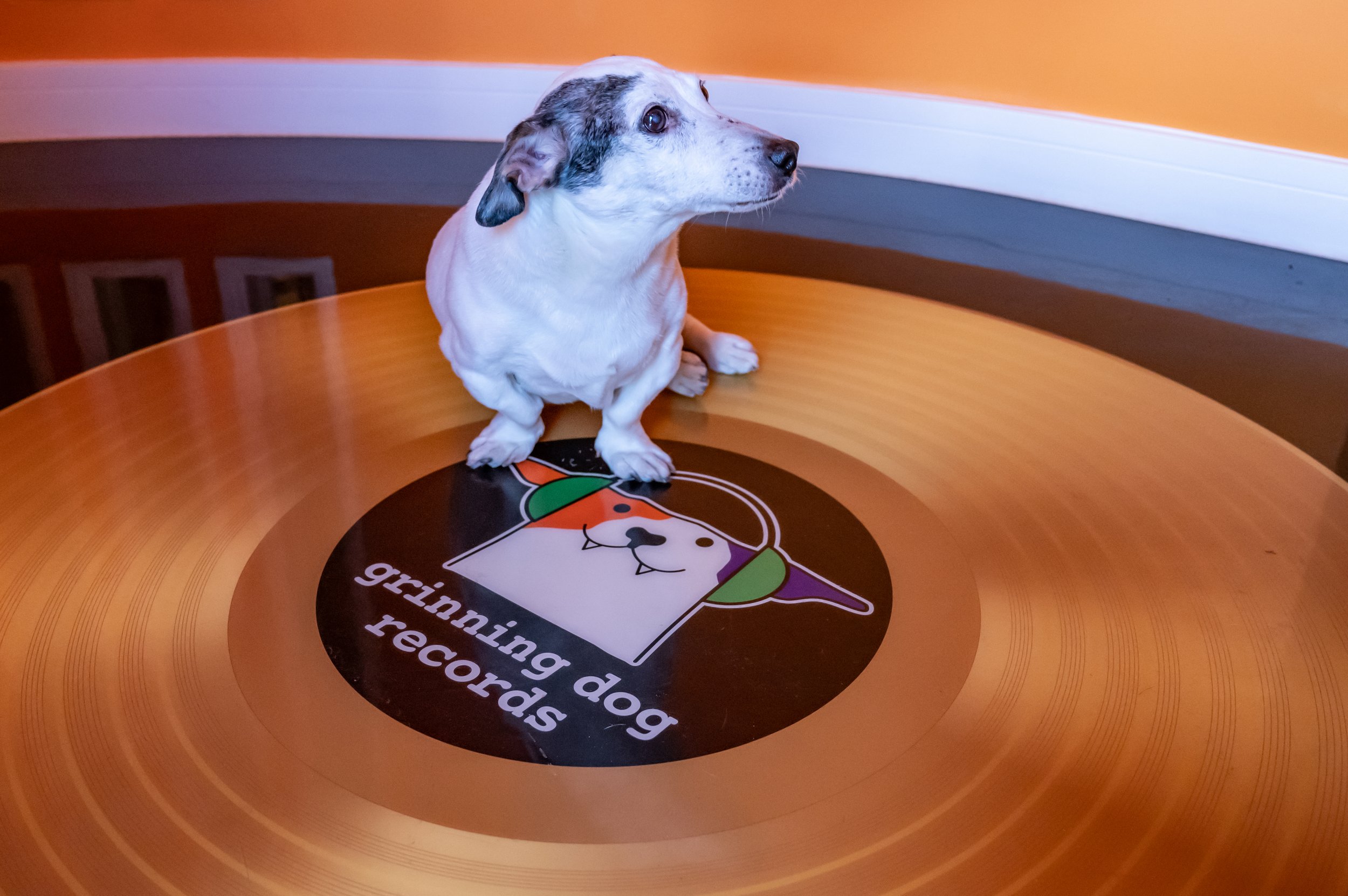 Echotown-Studio-ADC-0072.jpg