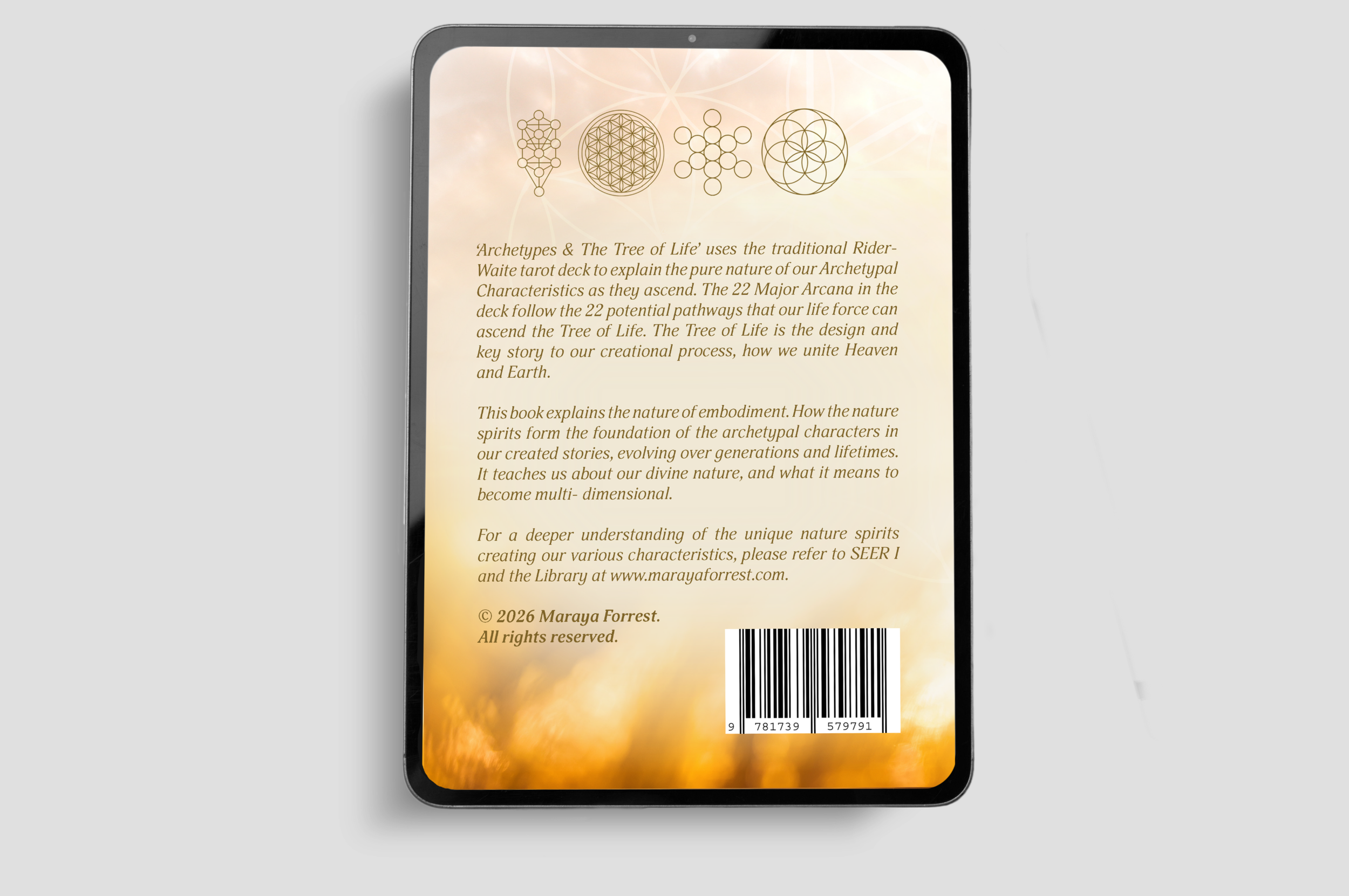 Untitled - June 14, 2026 at 16.07.19 (1).png
