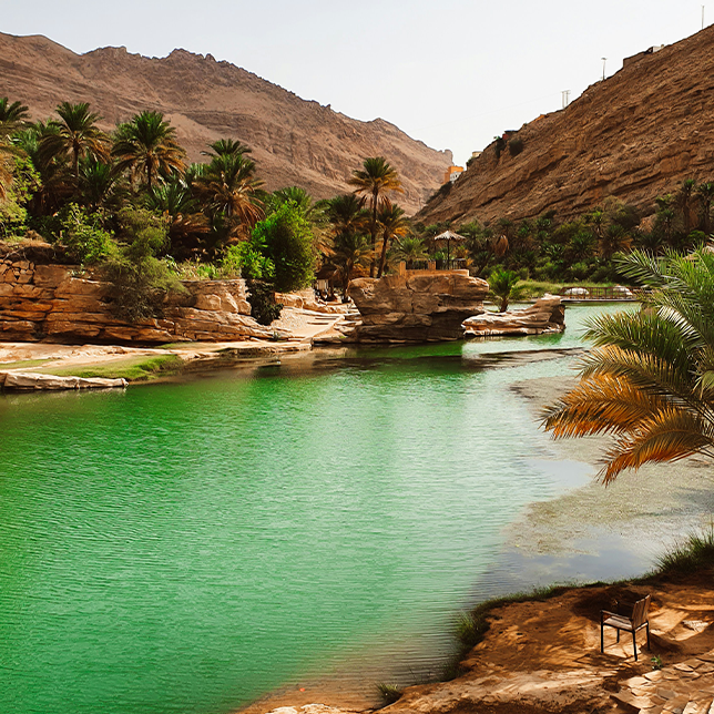 The Oasis