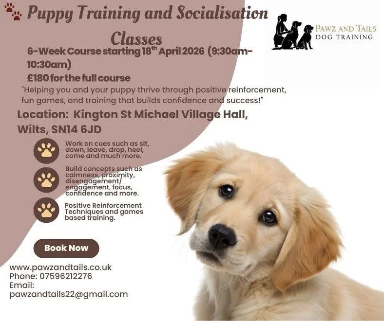 🐾✨ Puppy &amp; Adolescent Training Classes &ndash; Starting 18th April 2026 ✨🐾
Have you got a puppy chewing your clothes or biting your hands?
Or an adolescent dog who&rsquo;s suddenly forgotten everything and is testing your boundaries? 🙈
You&rsq