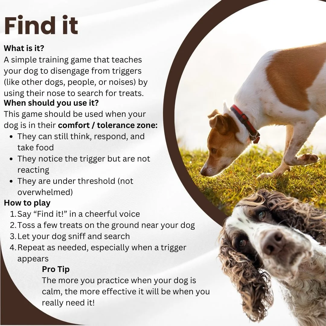 Looking for an easy game/ training method to redirect your dogs attention when they see a trigger (dog, person, cat, bike ect&hellip;)? Would love it if your dog could just sniff calmly as the trigger moves by? Try this game. Build it up where there&