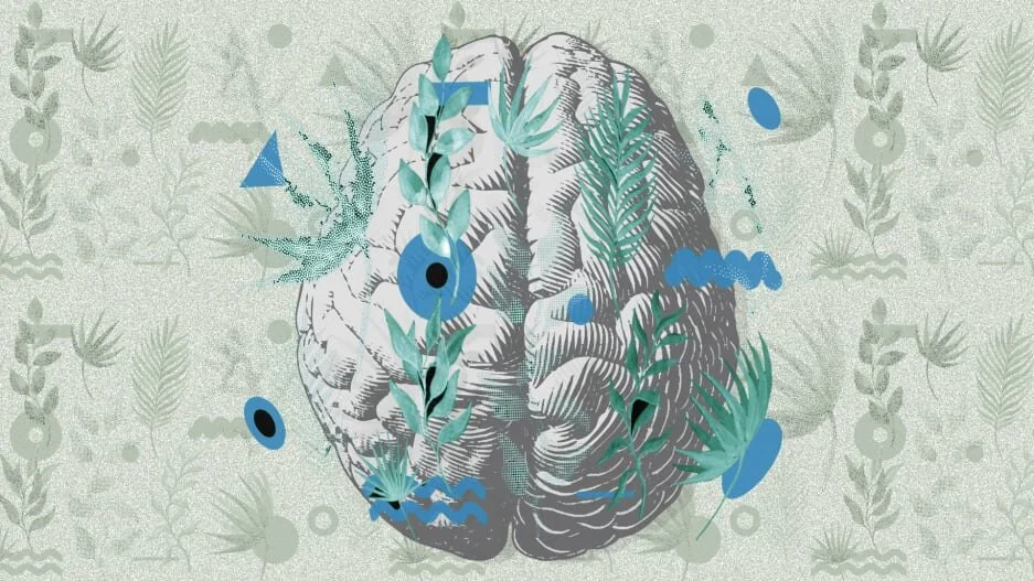 Renewal and Growth Mindset