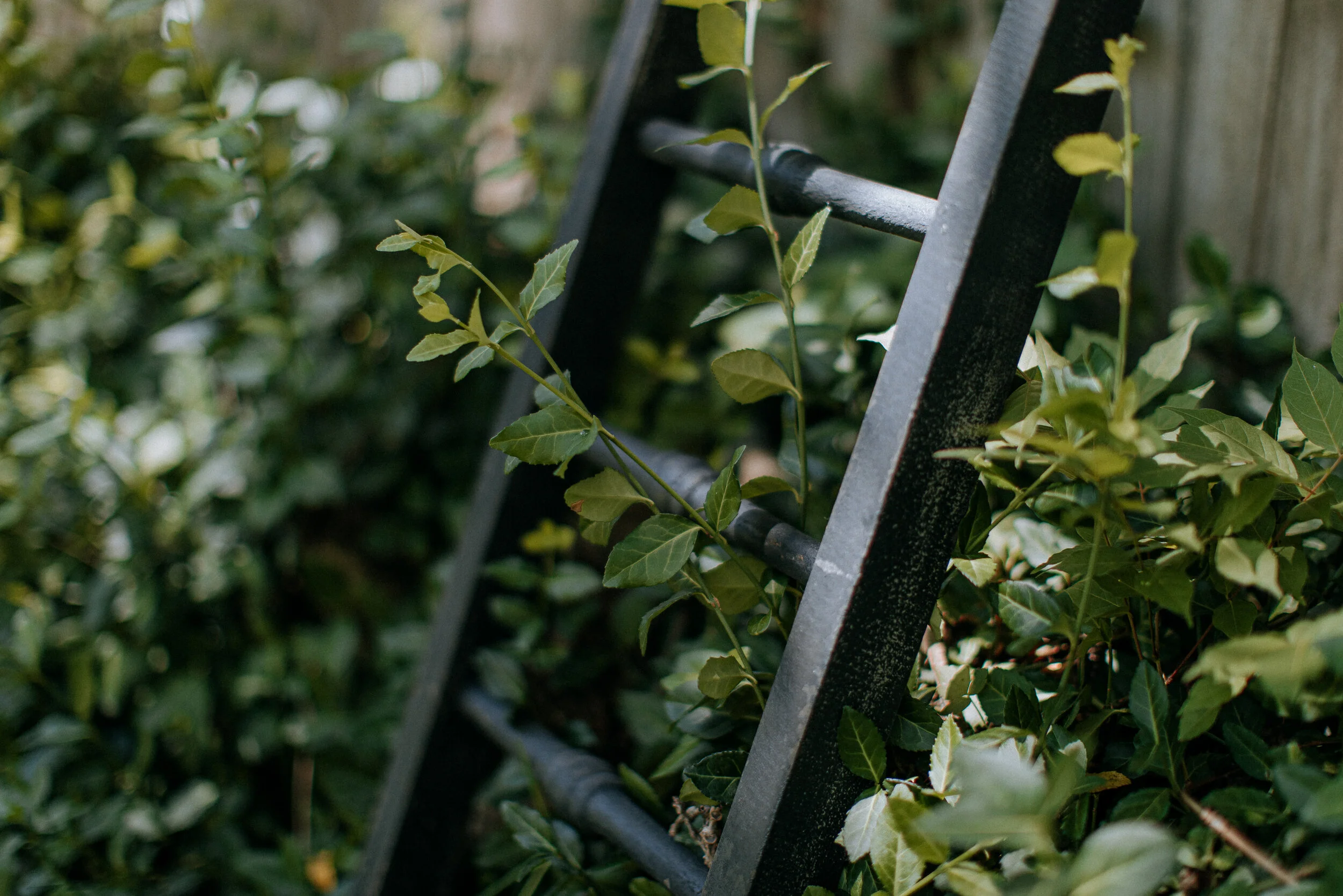 Starting Out Post COVID