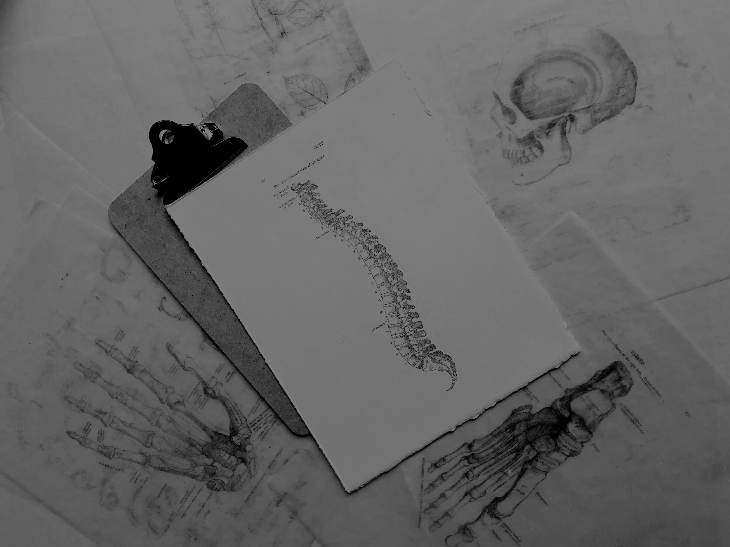 Discogenic Back Pain: What Athletes Need to Know About Disc-Related Pain