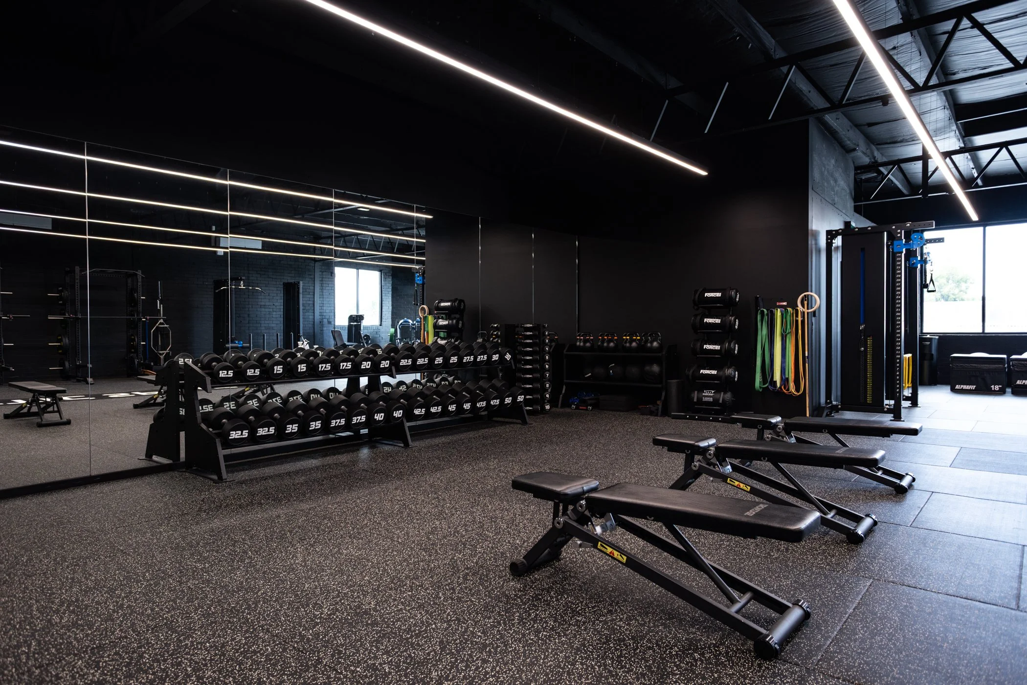 Arnaud_Domange_Photo_260131Athletic Spine55.jpg