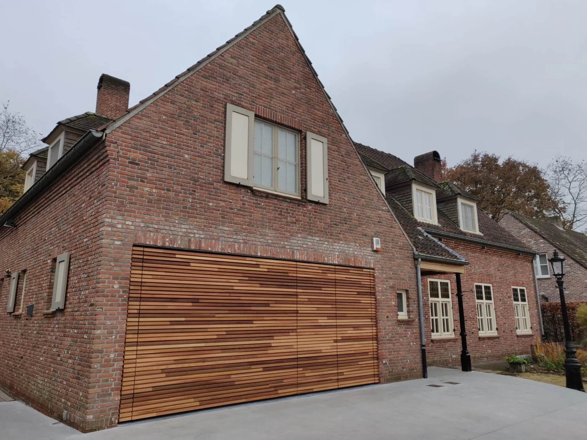 1977-Free Willy Ceder-2.jpeg