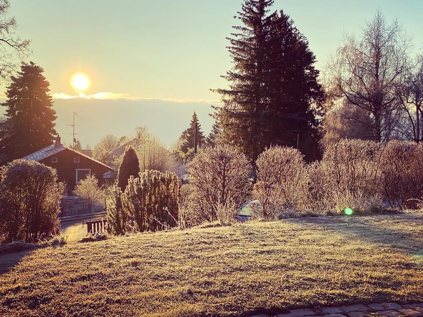 Good morning sunshine ☀️