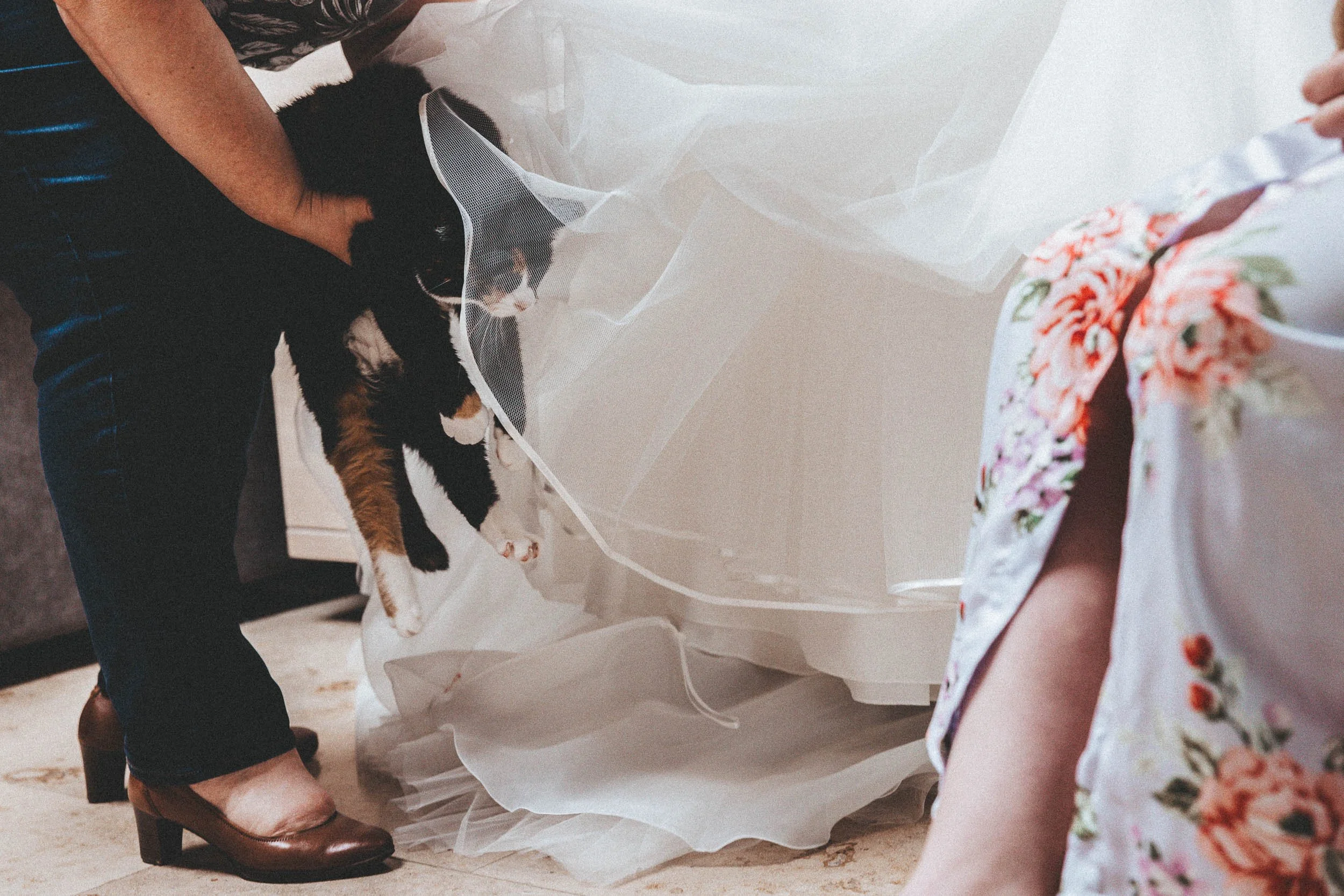 CrazyLittleThingCalledLove, huwelijk,AG-1.jpg