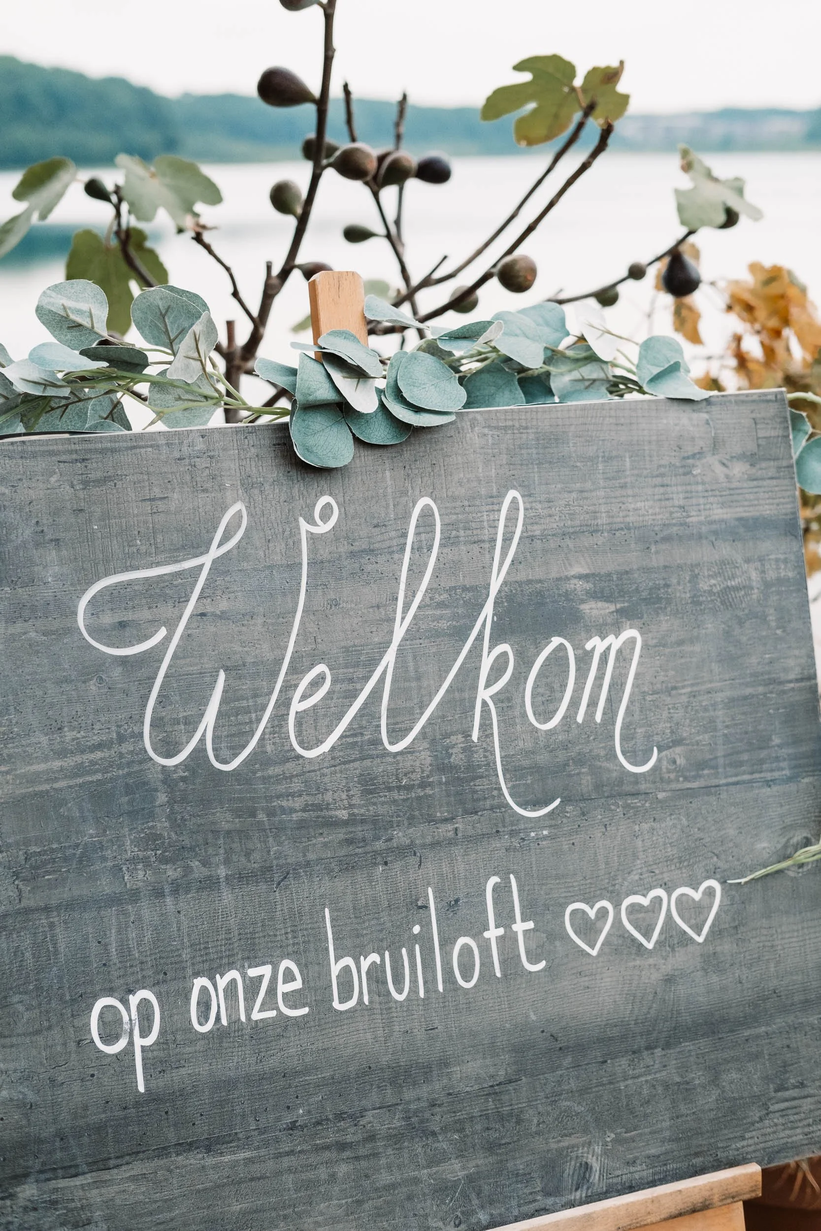 CrazyLittleThingCalledLove, huwelijk, GW-24.jpg