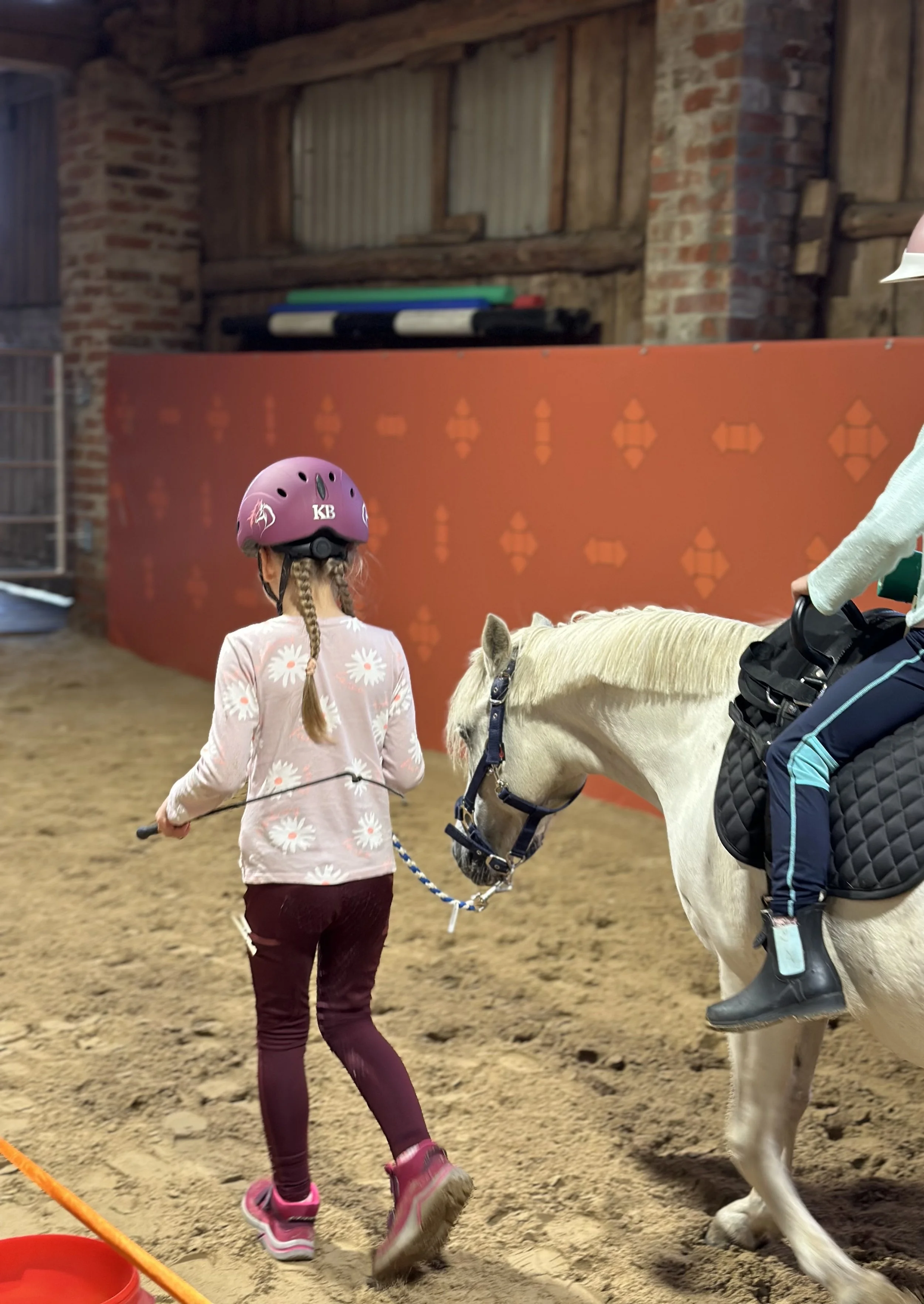 Ein junges Mädchen mit rosa Helm und geblümtem Hemd führt ein weißes Pony in einer Reithalle.