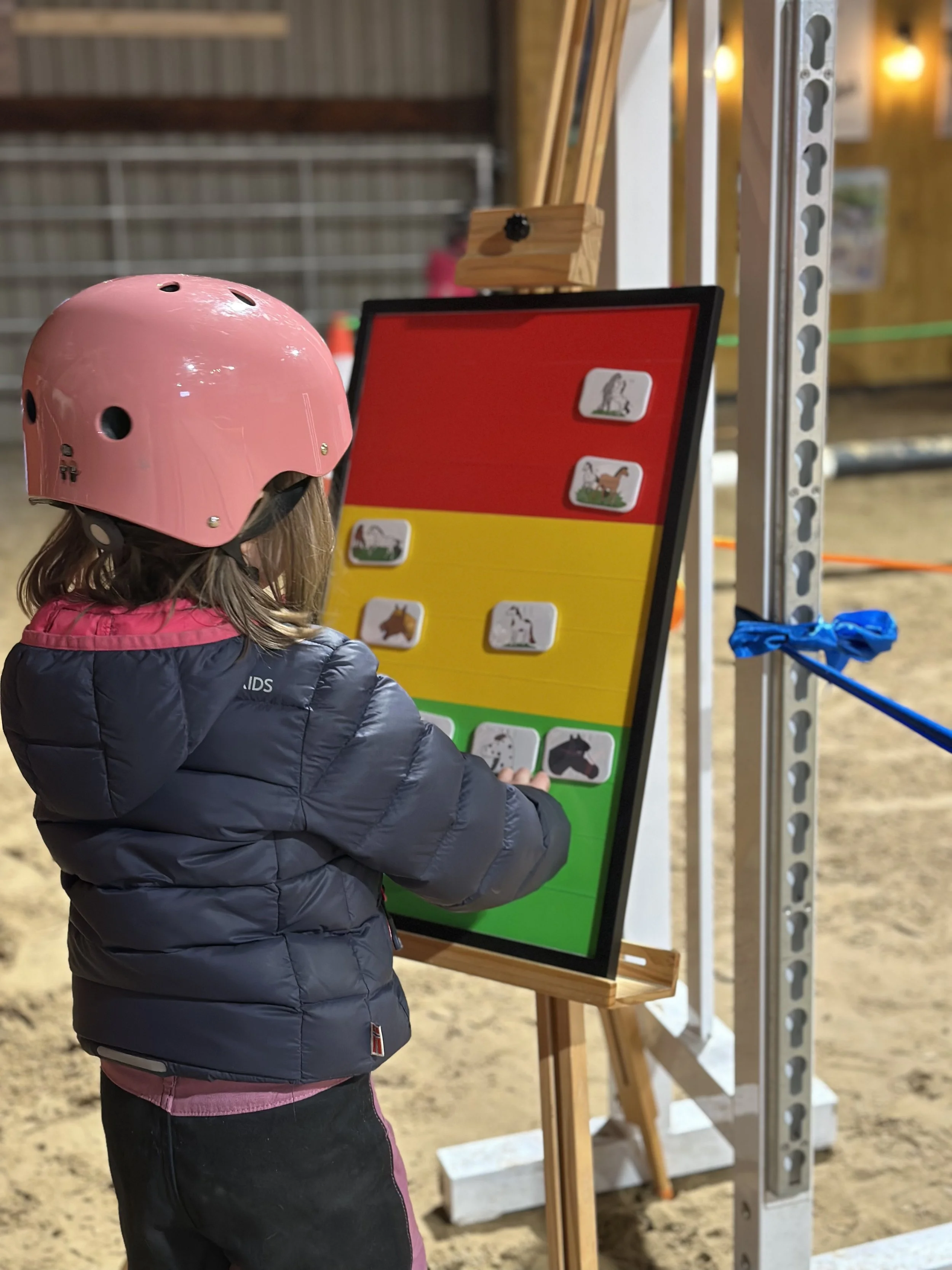 Ein junges Mädchen mit rosa Helm und dunkler Jacke betrachtet eine Lehrtafel mit Pferdebildern auf einer Staffelei in einer Reithalle.