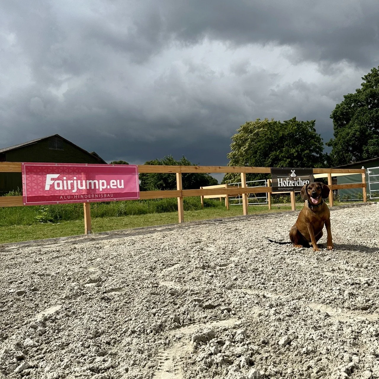Ein brauner Hund sitzt draußen auf dem sandigem Boden des Reitplatz unter dunklen Gewitterwolken, im Hintergrund sind Transparente mit der Aufschrift „Fairjump.eu“ und „Hofzeichen“ zu sehen.