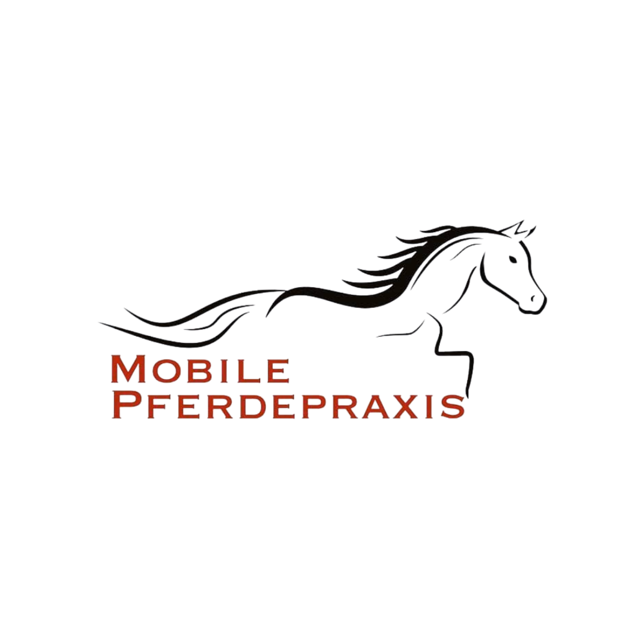 Logo Pferdepraxis