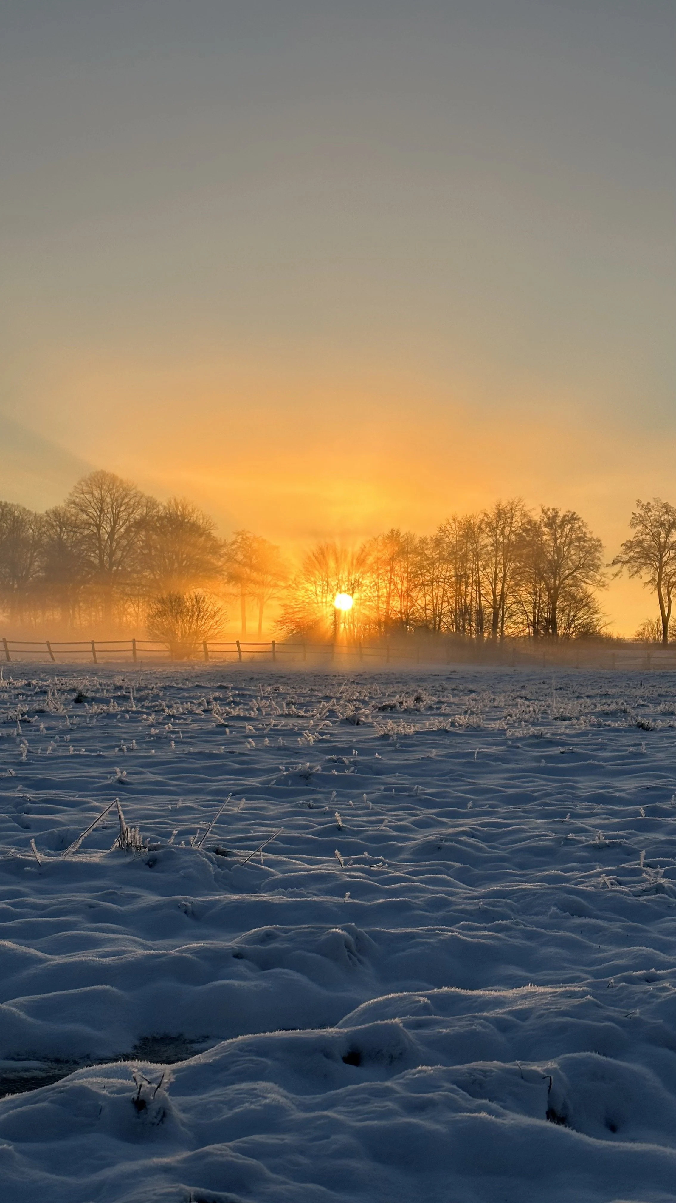 Schneebedecktes Feld bei Sonnenaufgang mit Bäumen im Hintergrund und einem Holzzaun.