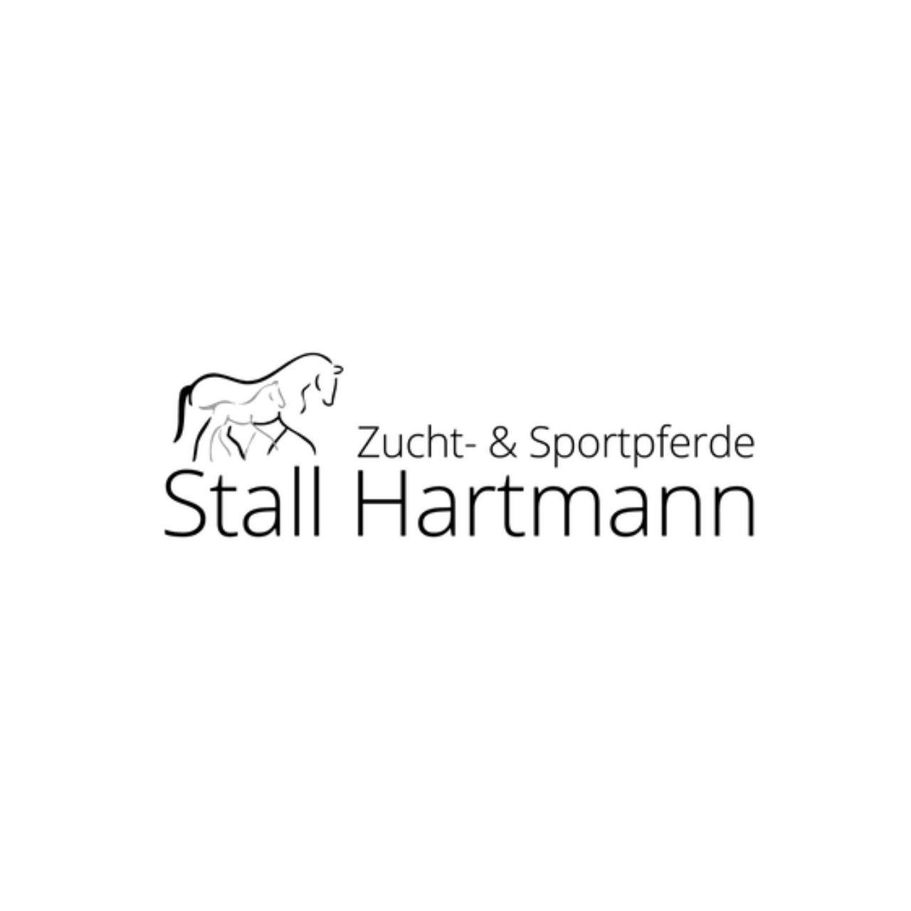 Logo Zucht- und Sportpferde