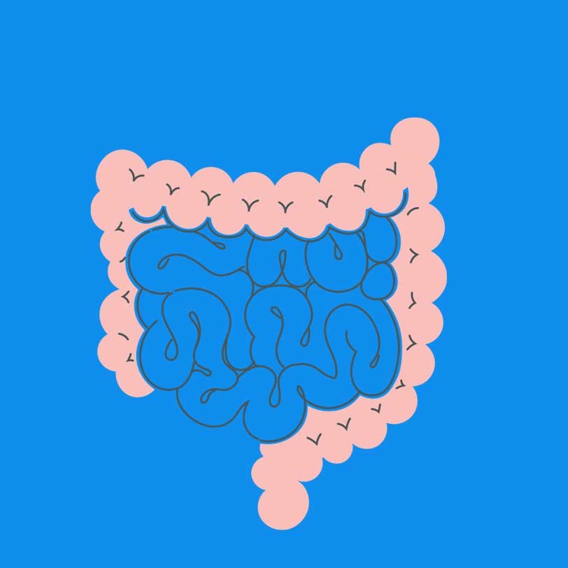 Bowel Incontinence Causes, Risk factors, Diagnosis, Treatment