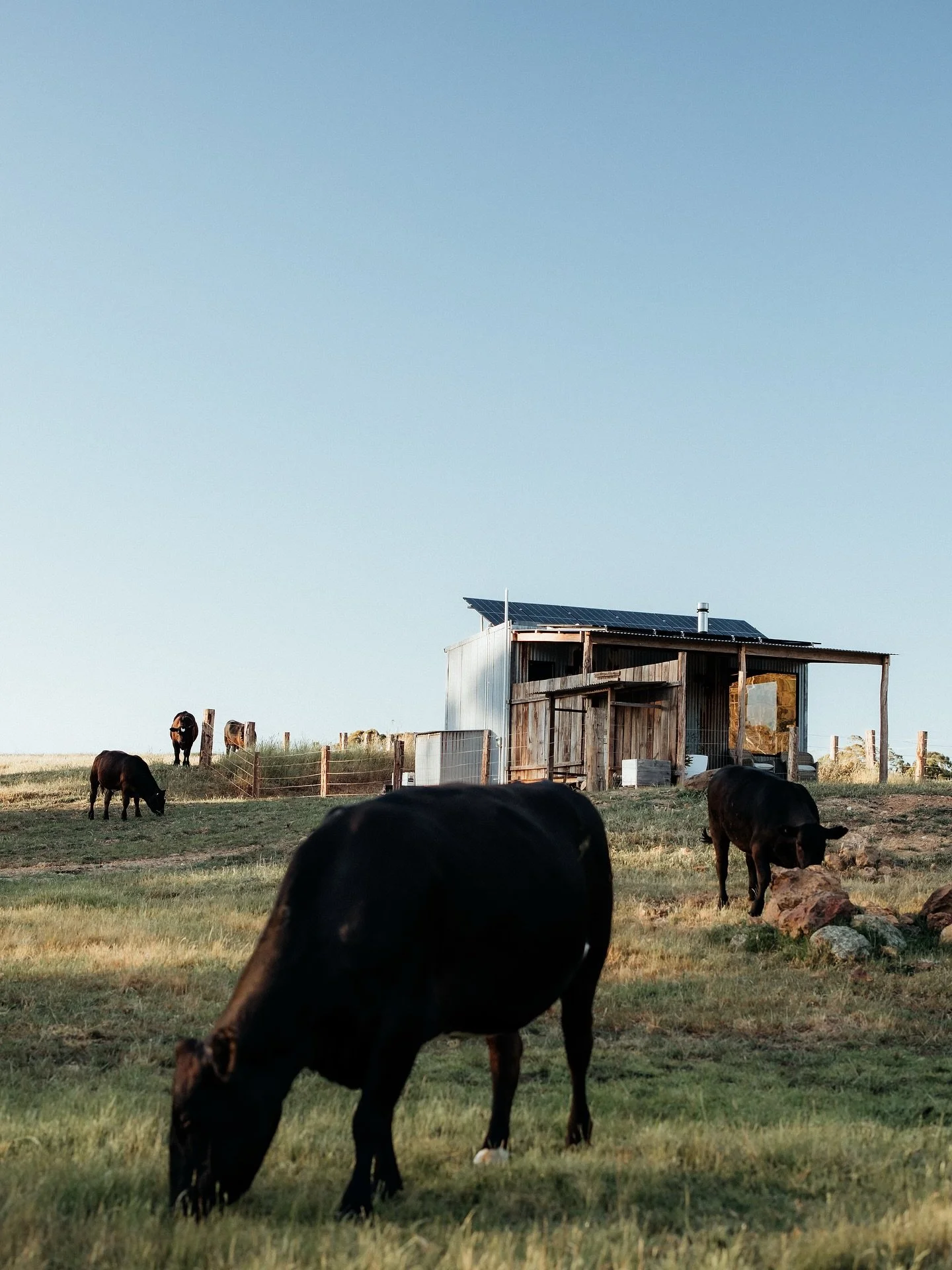 Receiving these heartfelt reviews from our recent guests means so much to us 🤍 feeling very grateful! 

~~~~
We had the most amazing stay at Cleves hut in Nannup! The entire experience was perfect - peaceful, beautiful &amp; just what we needed. The