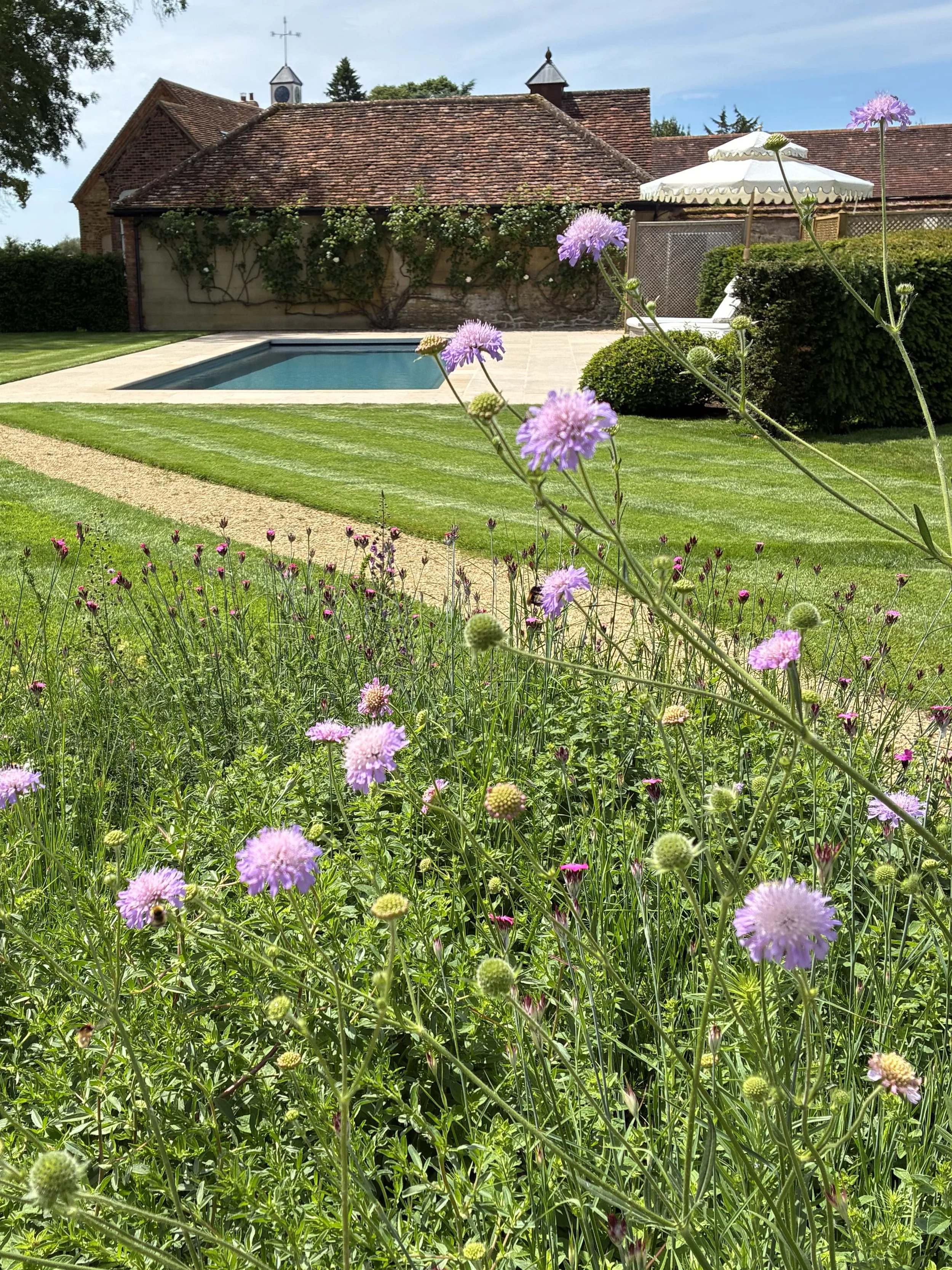 swimming pool garden BuckinghamshireJoanna Archer.jpg