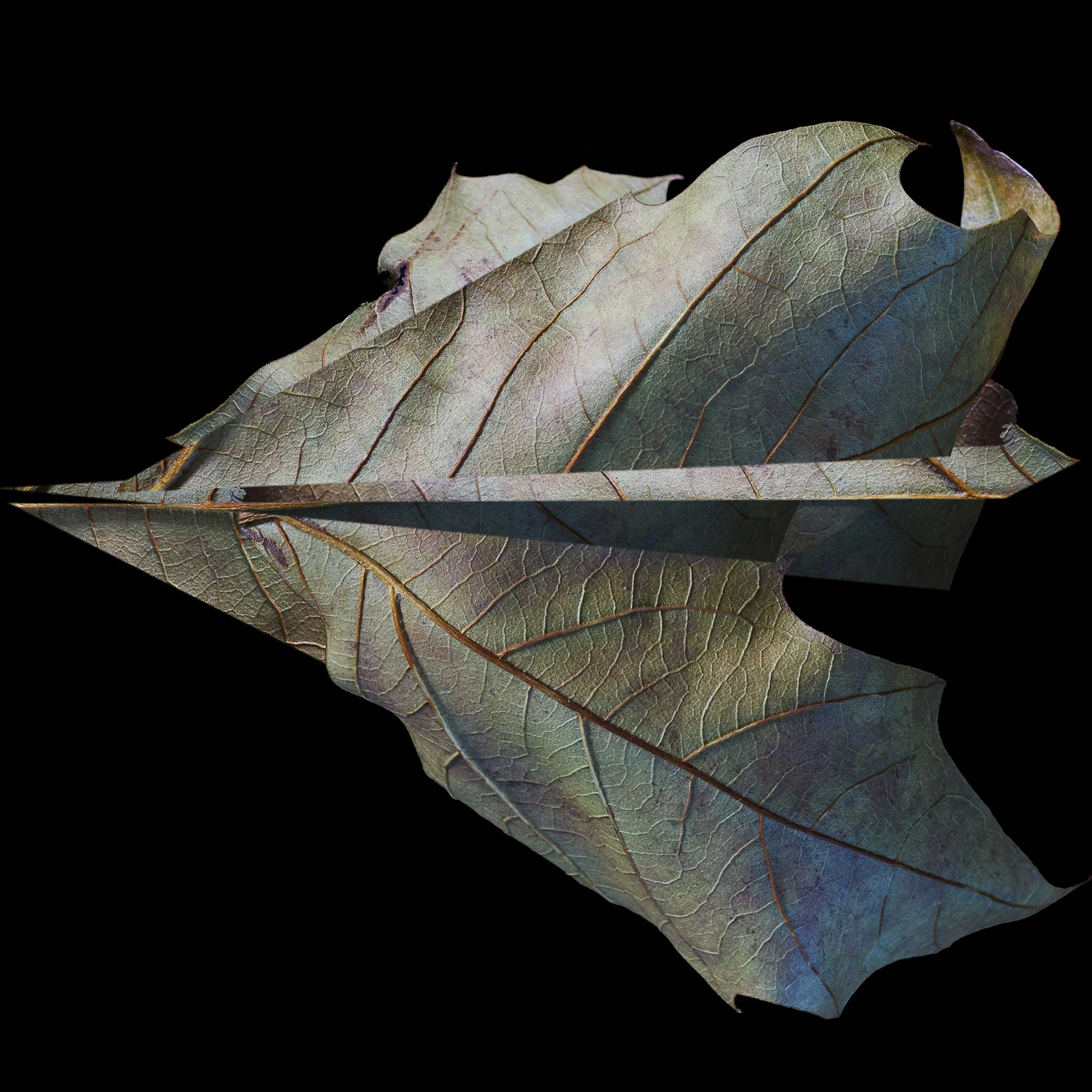 _JRH2489_COMP1_VJH3XX_CUT6F_LoRes.jpg