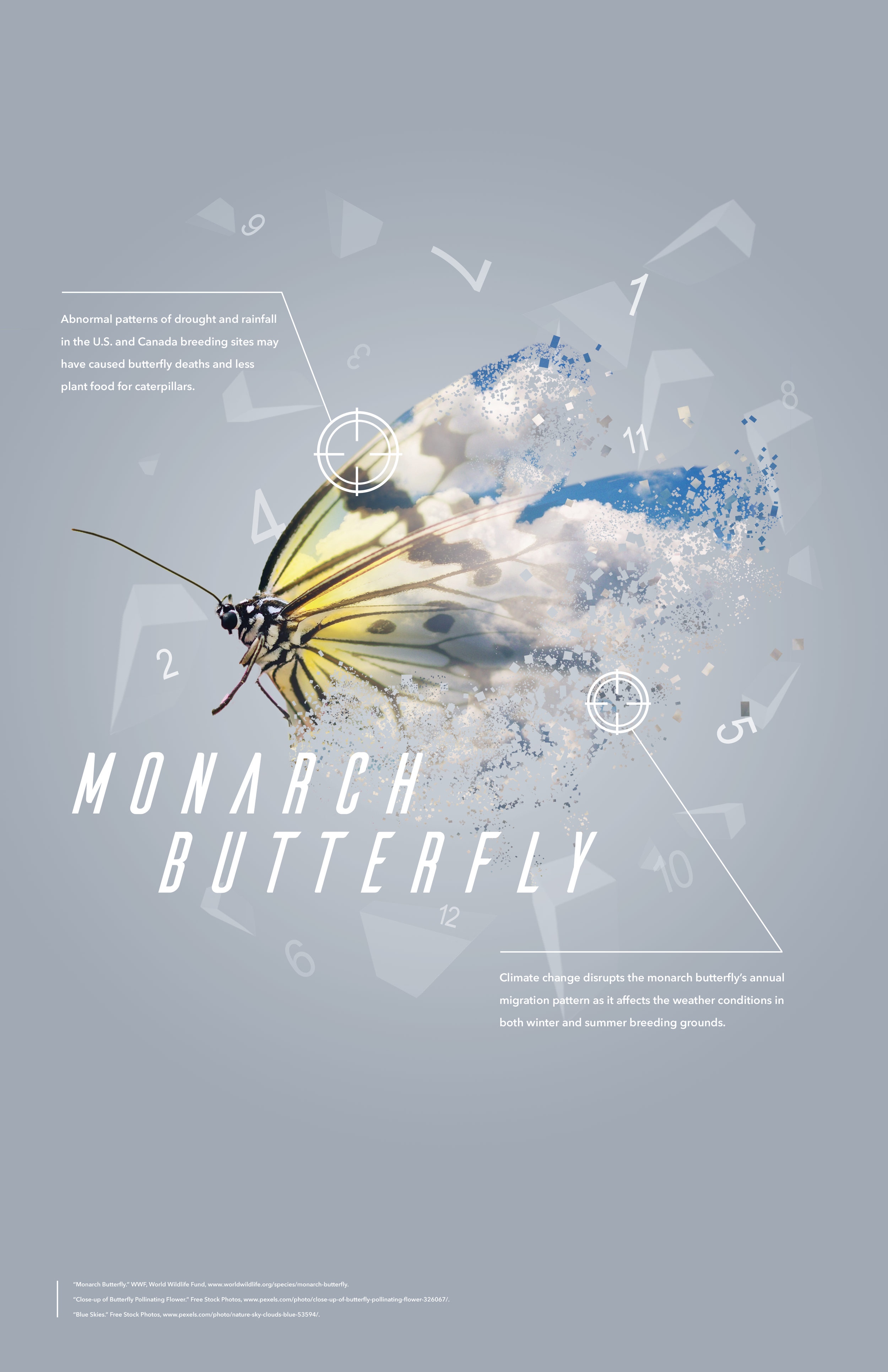 Butterfly.png