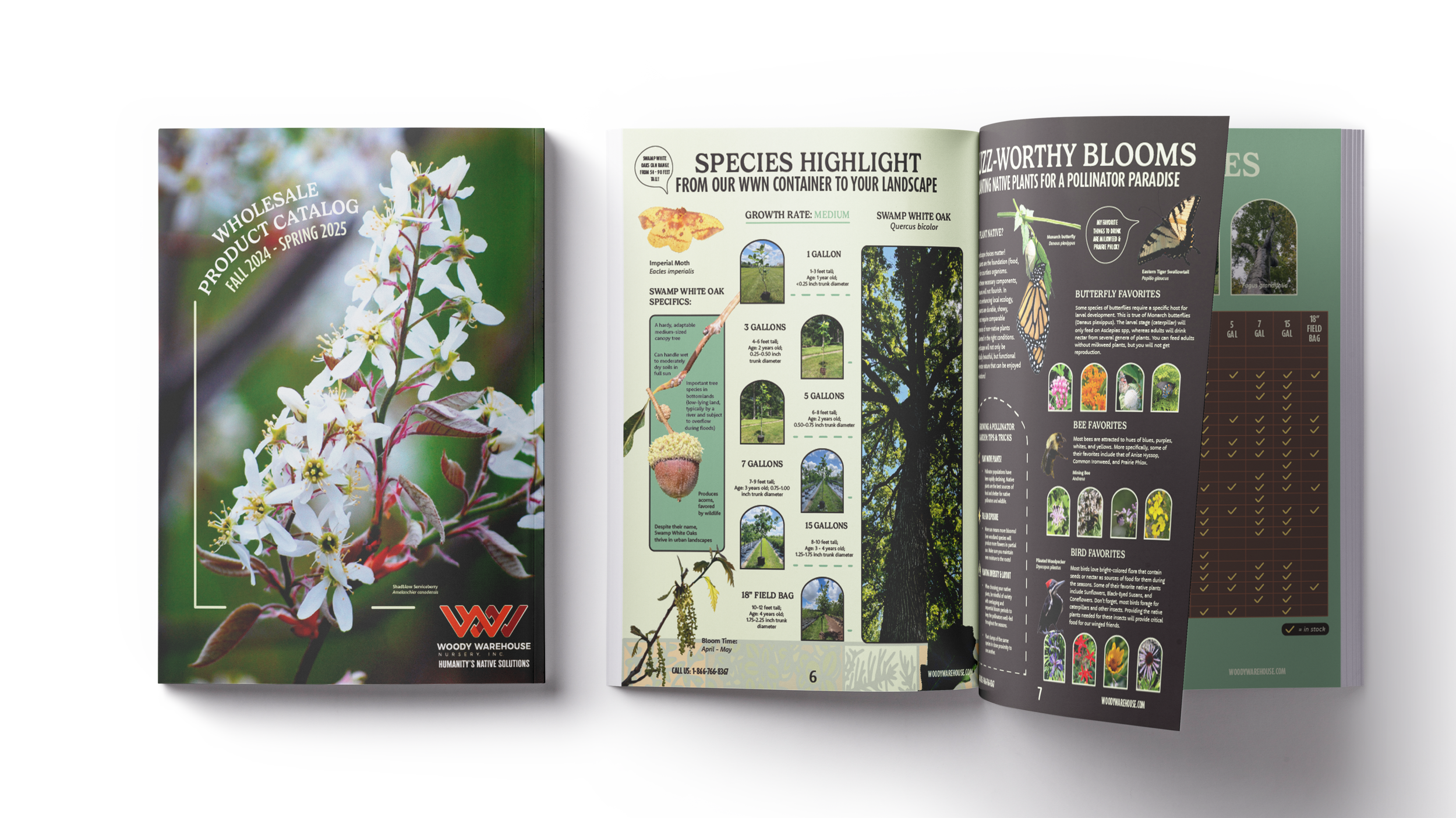 Mollrat Studios_CatalogTest2.png