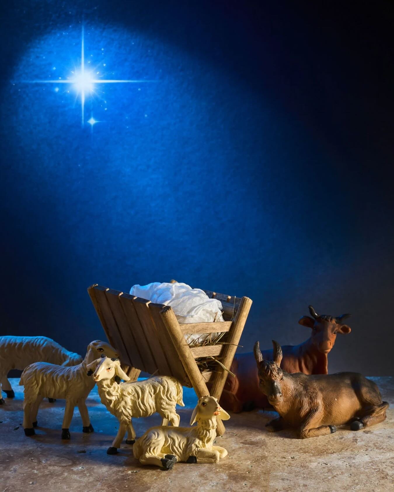 Christmas Eve

O God, you make us glad by the yearly festival of the birth of your only Son Jesus Christ: Grant that we, who joyfully receive him as our Redeemer, may with sure confidence behold him when he comes to be our Judge; who lives and reigns