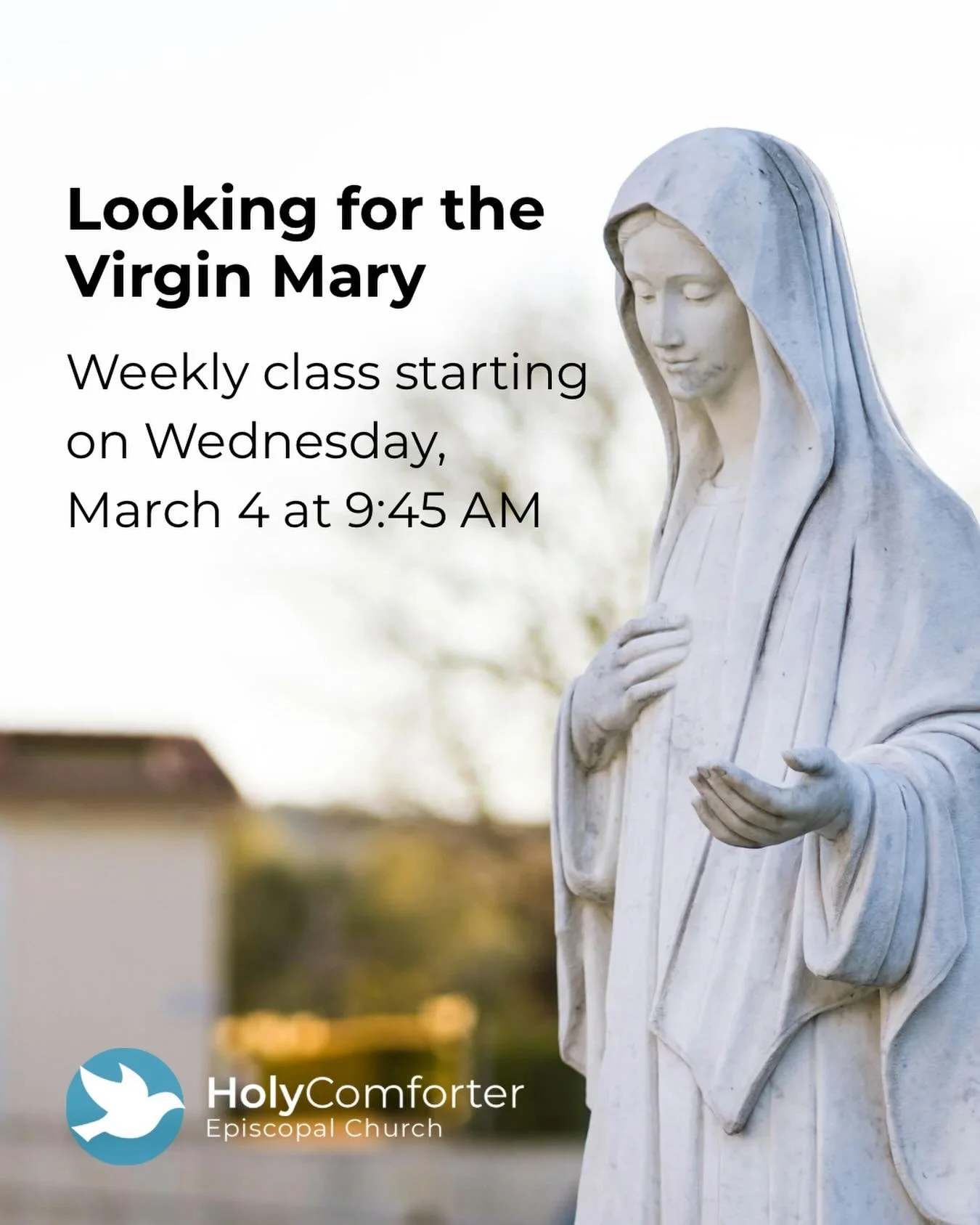📣 New Class: Looking for the Virgin Mary

Beginning Wednesday, March 4 at 9:45 AM, this weekly class invites all on the journey to explore theories and myths as well as modern views on the mother of Jesus.&nbsp;This class will meet on March 4, 11, 1