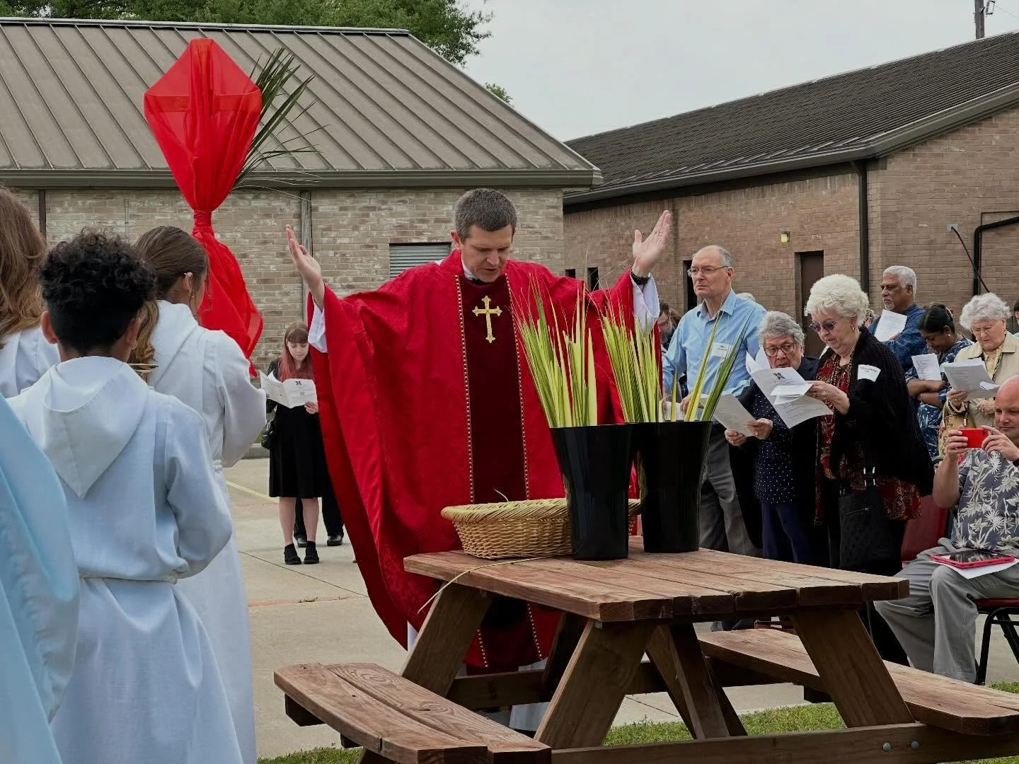 Palm Sunday

Almighty and everliving God, in your tender love for the human race you sent your Son our Savior Jesus Christ to take upon him our nature, and to suffer death upon the cross, giving us the example of his great humility: Mercifully grant 