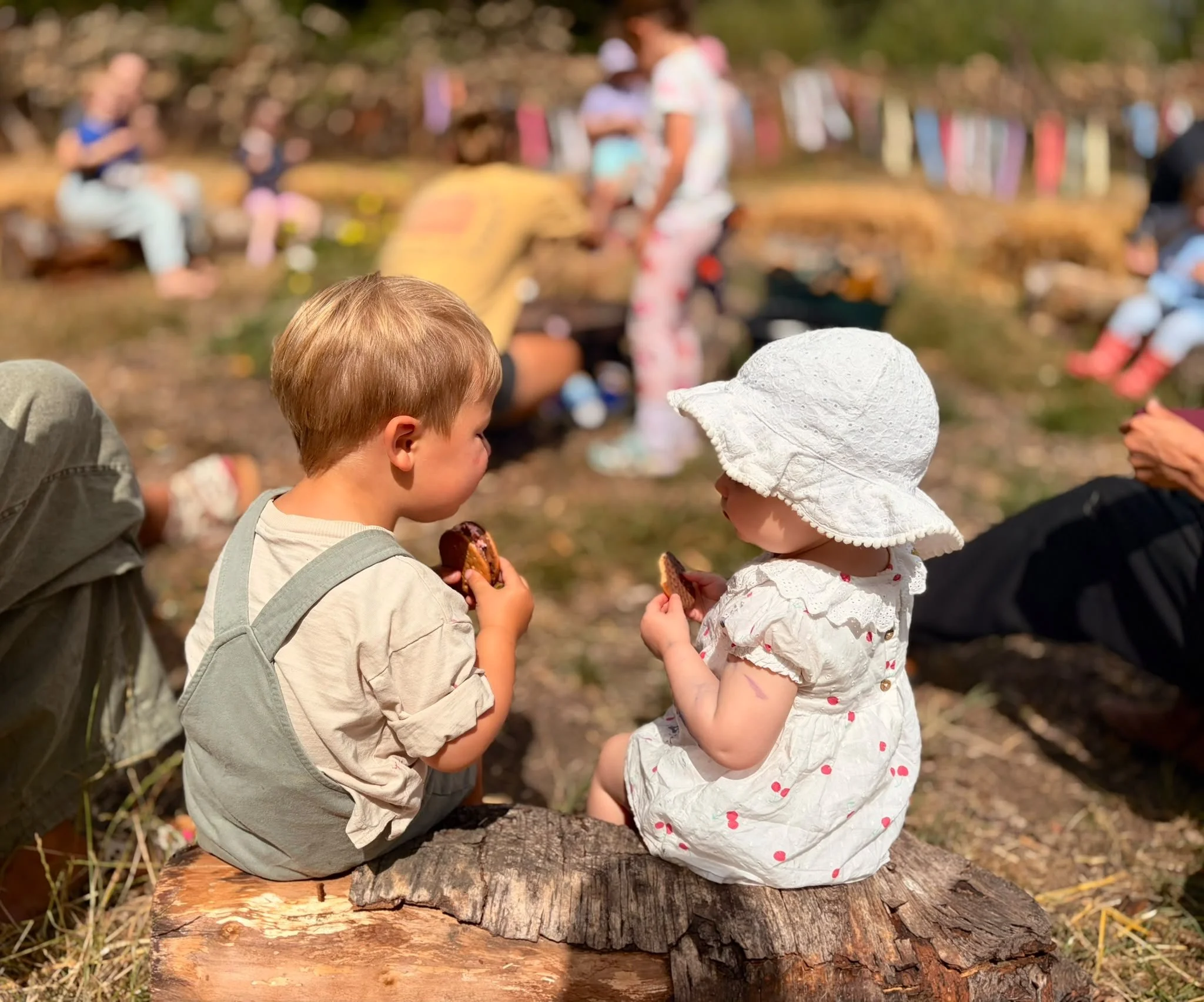 10:30am - Grow Wild Mondays at Nature &amp; Wellbeing Centre, Edgbaston Reservoir 