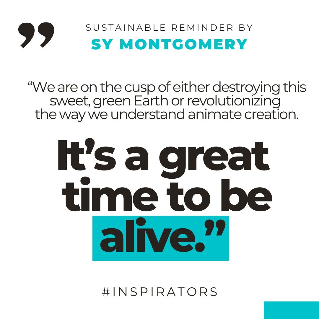 inspirators-sustainability-regeneration