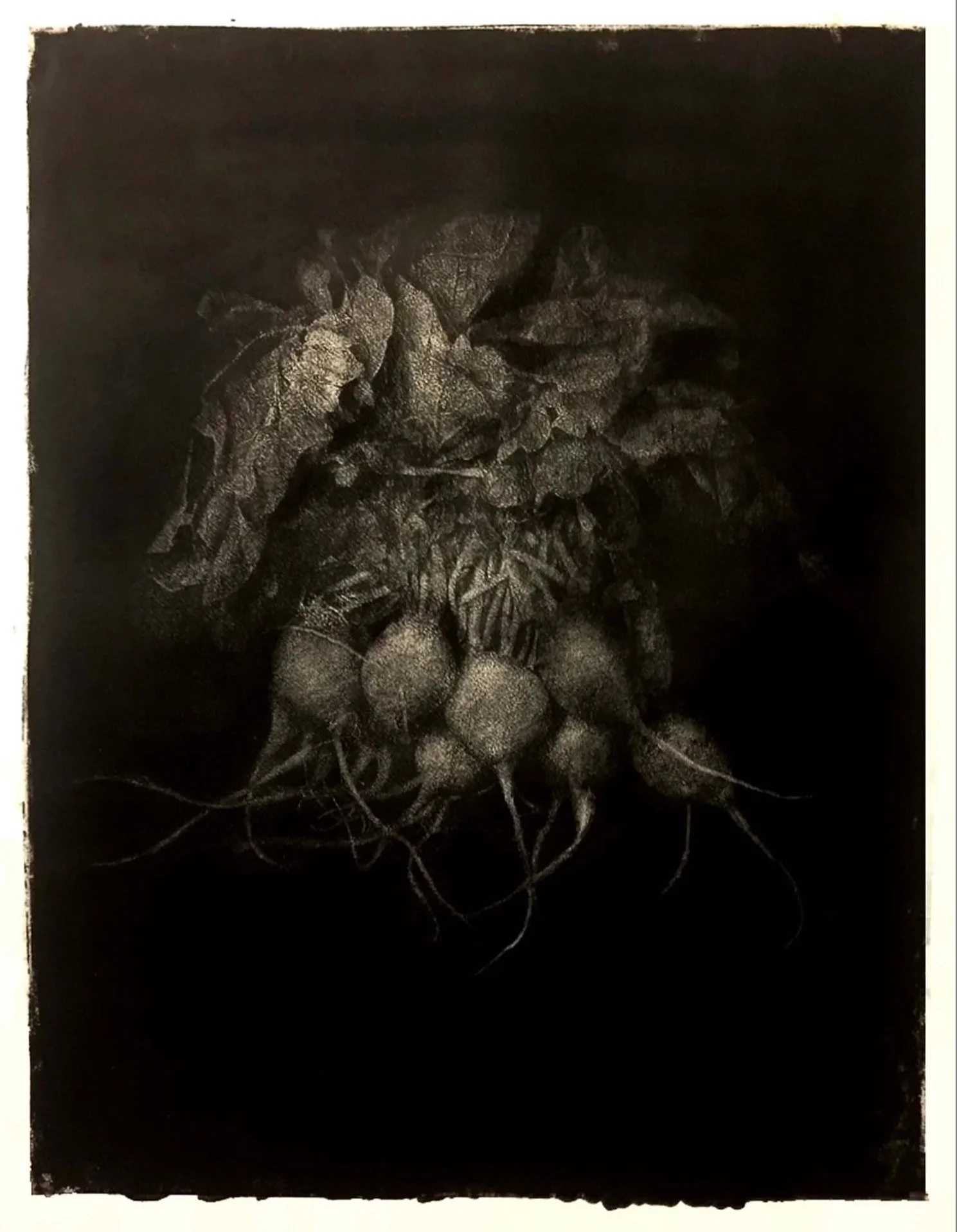 Root Vegetables