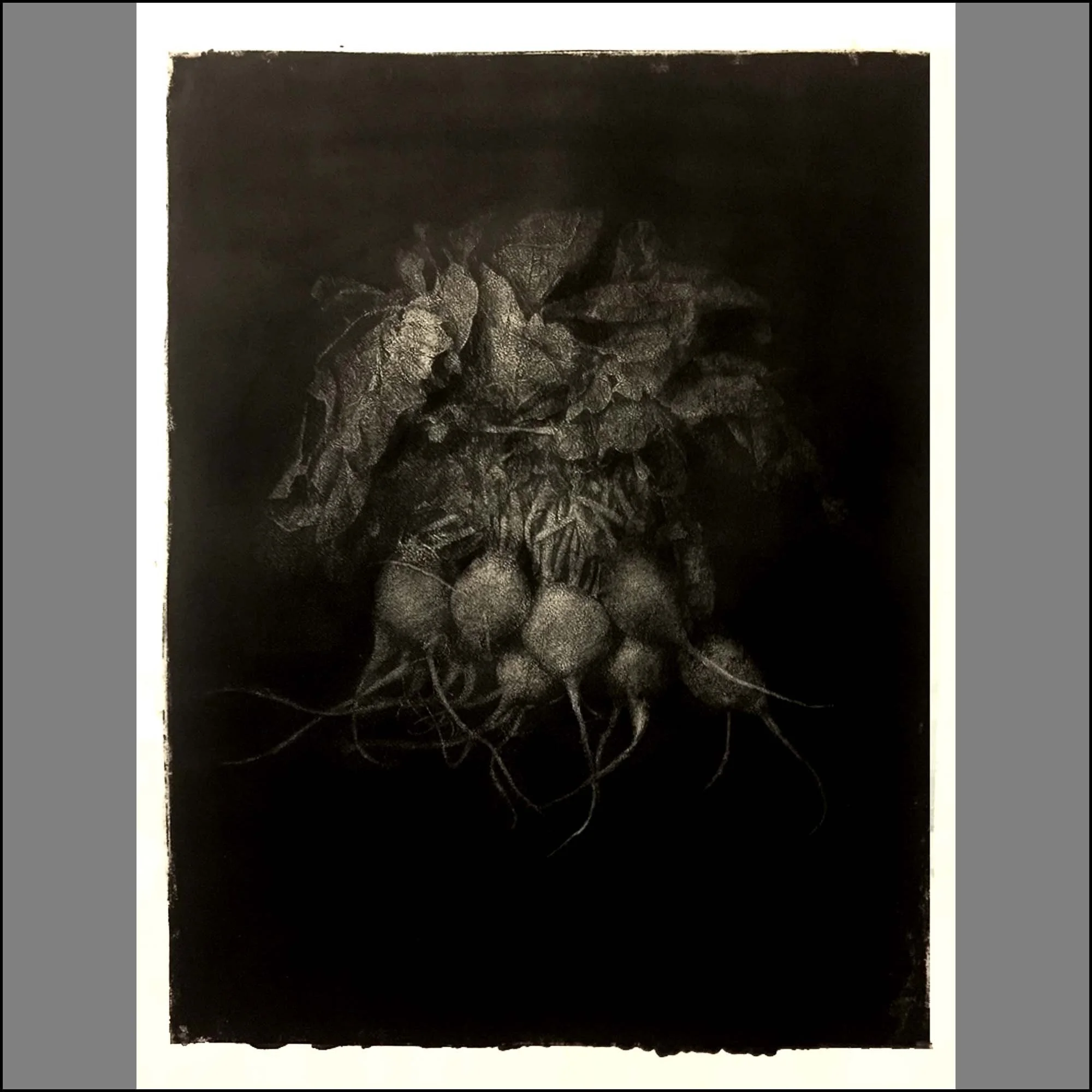 Turnips2Gumoil copy.jpg