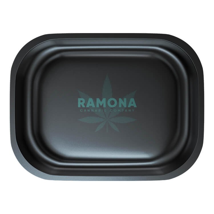 Small Ramona.jpeg