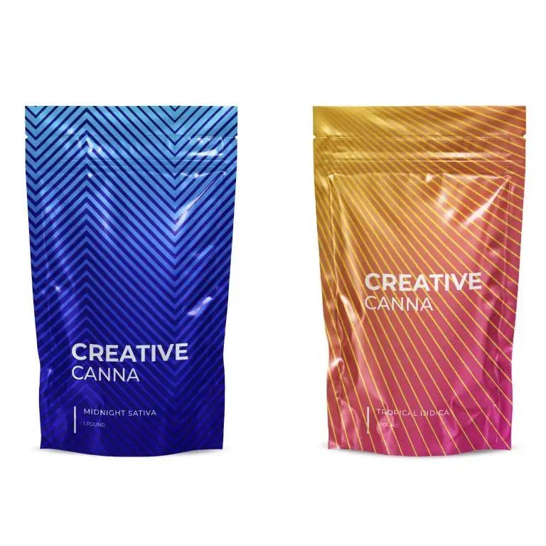 Creative Canna.jpeg