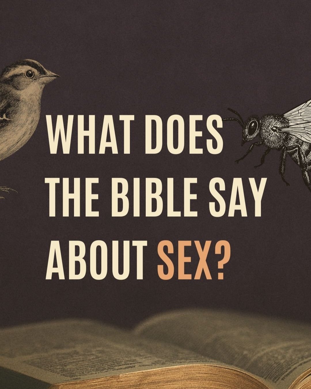 July 6: What does the Bible say about sex?