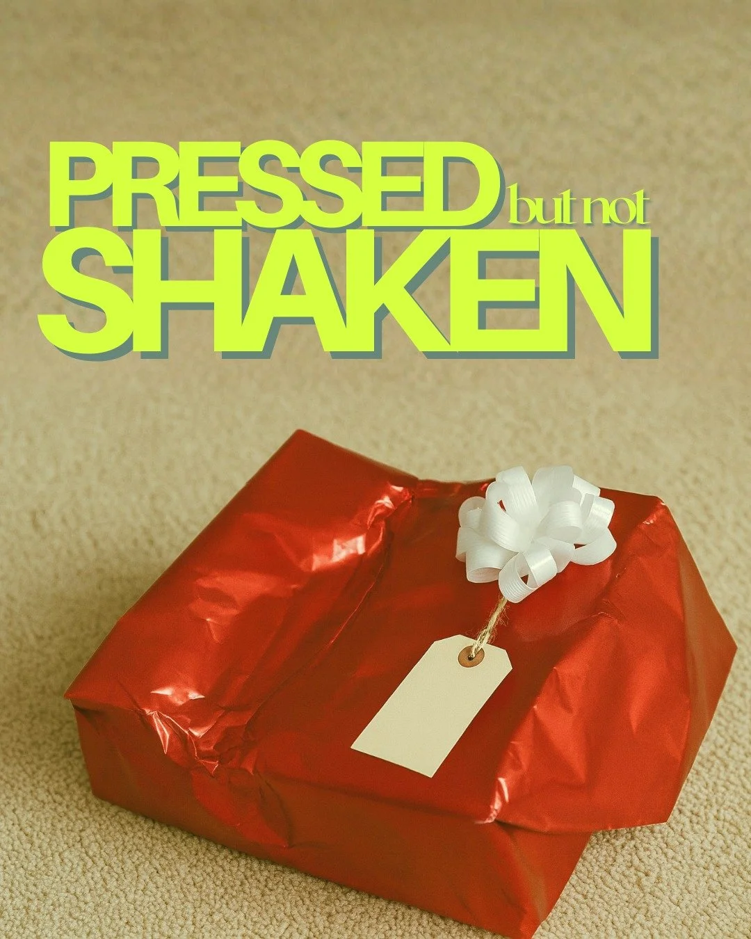 God has always shown up in the mess.
In the parts of life that feel a little chaotic, a little wrinkled, a little undone.
Scripture reminds us we may be pressed but not shaken.
Join us on Christmas Eve at 5pm as we rest in that hope together.
Cookies